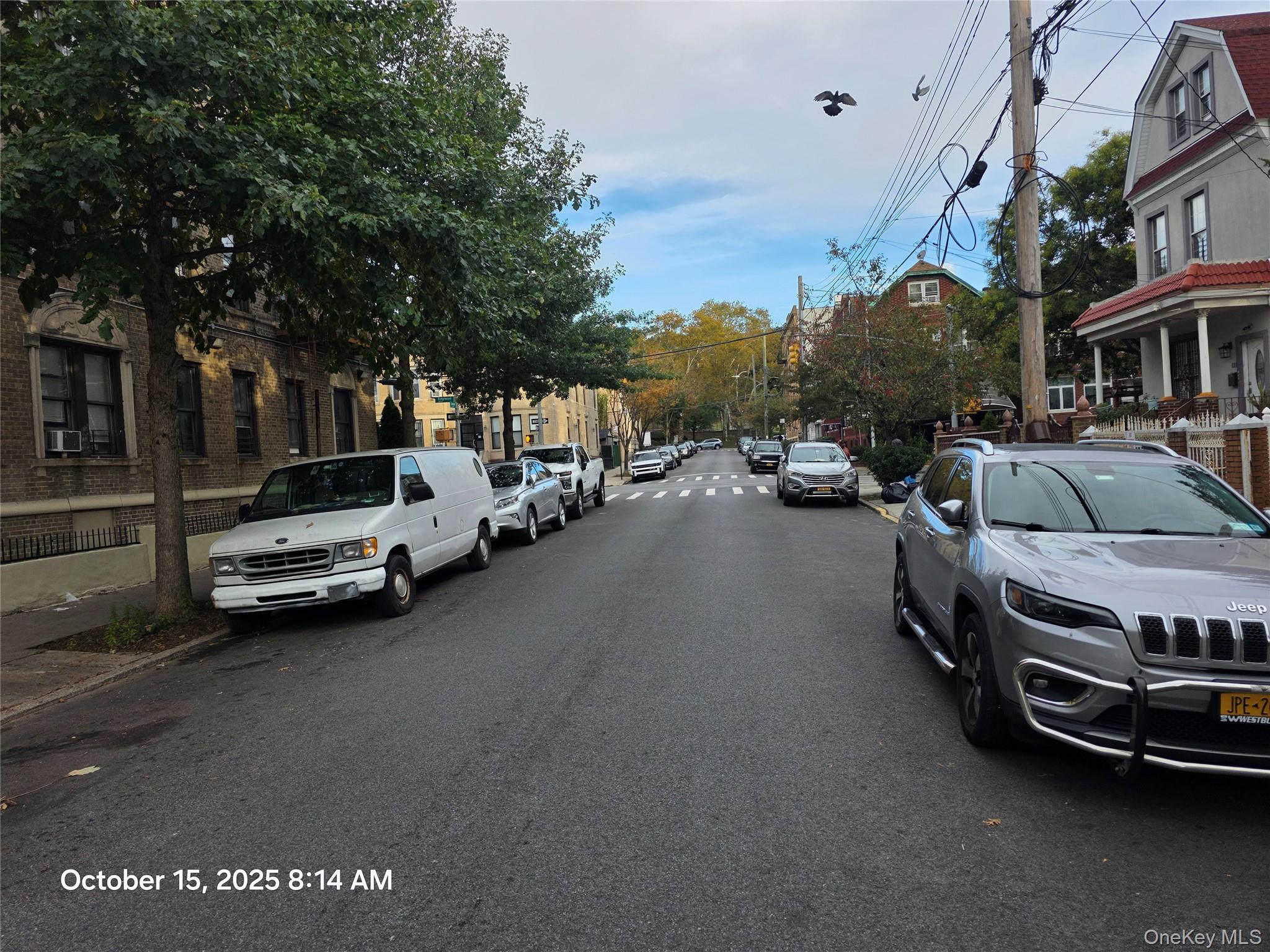 117 Cleveland Street, Brooklyn, NY 11208