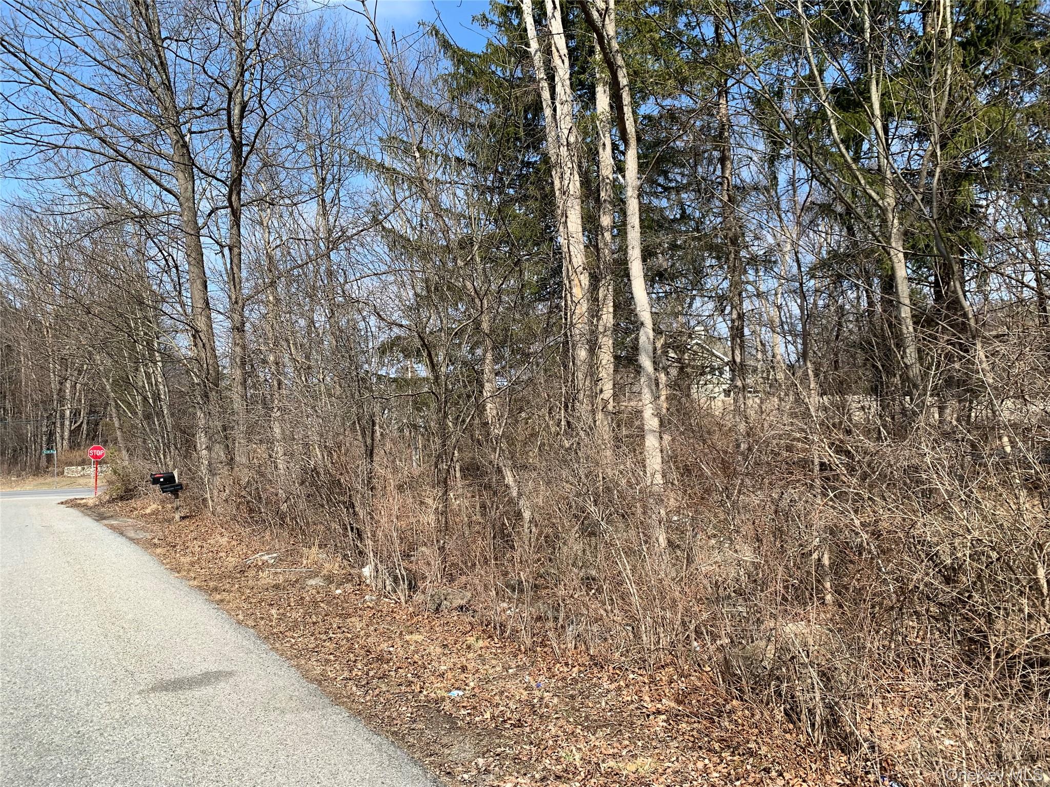 Rt-55, Lagrangeville, NY 12540