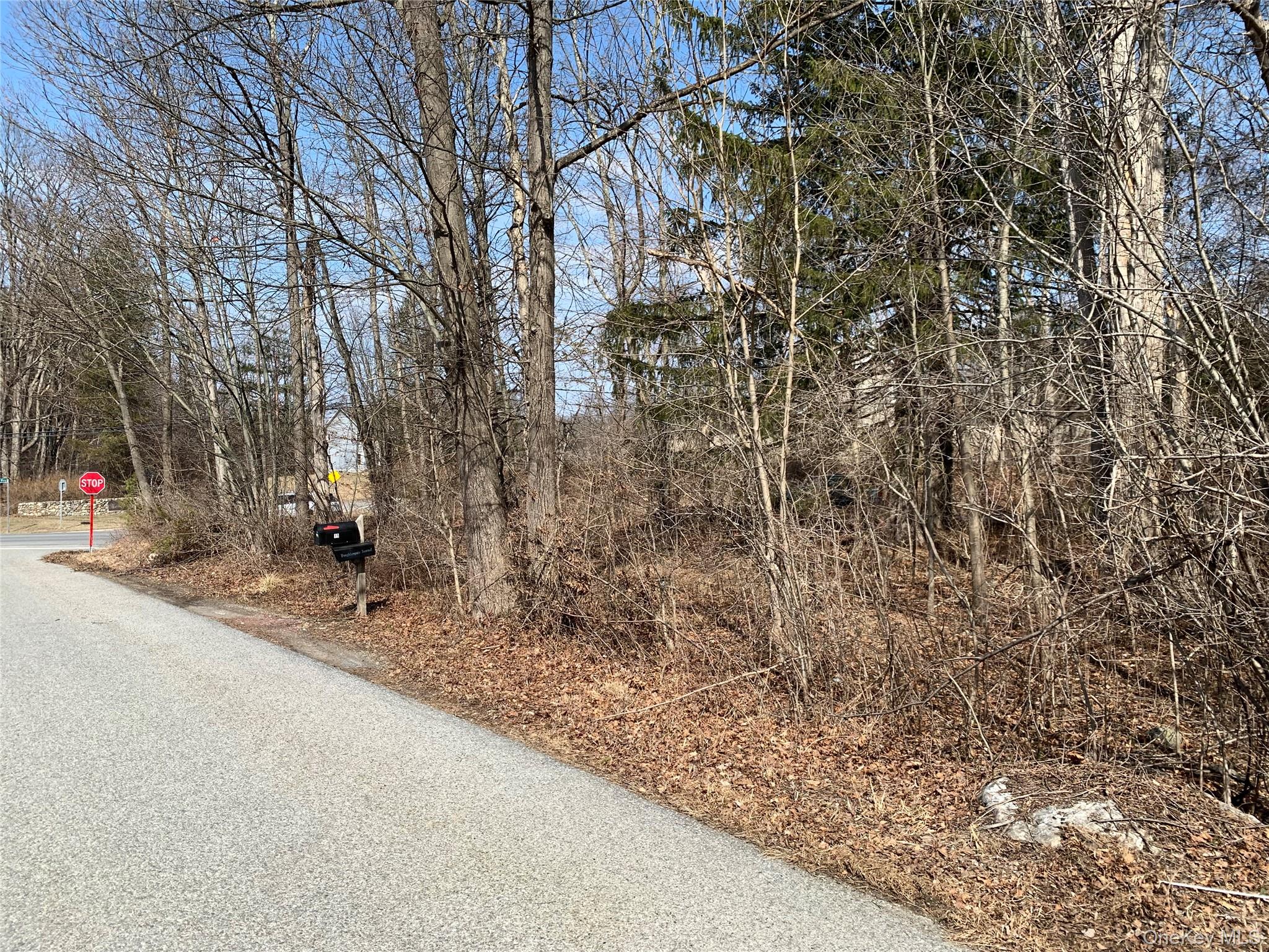 Rt-55, Lagrangeville, NY 12540