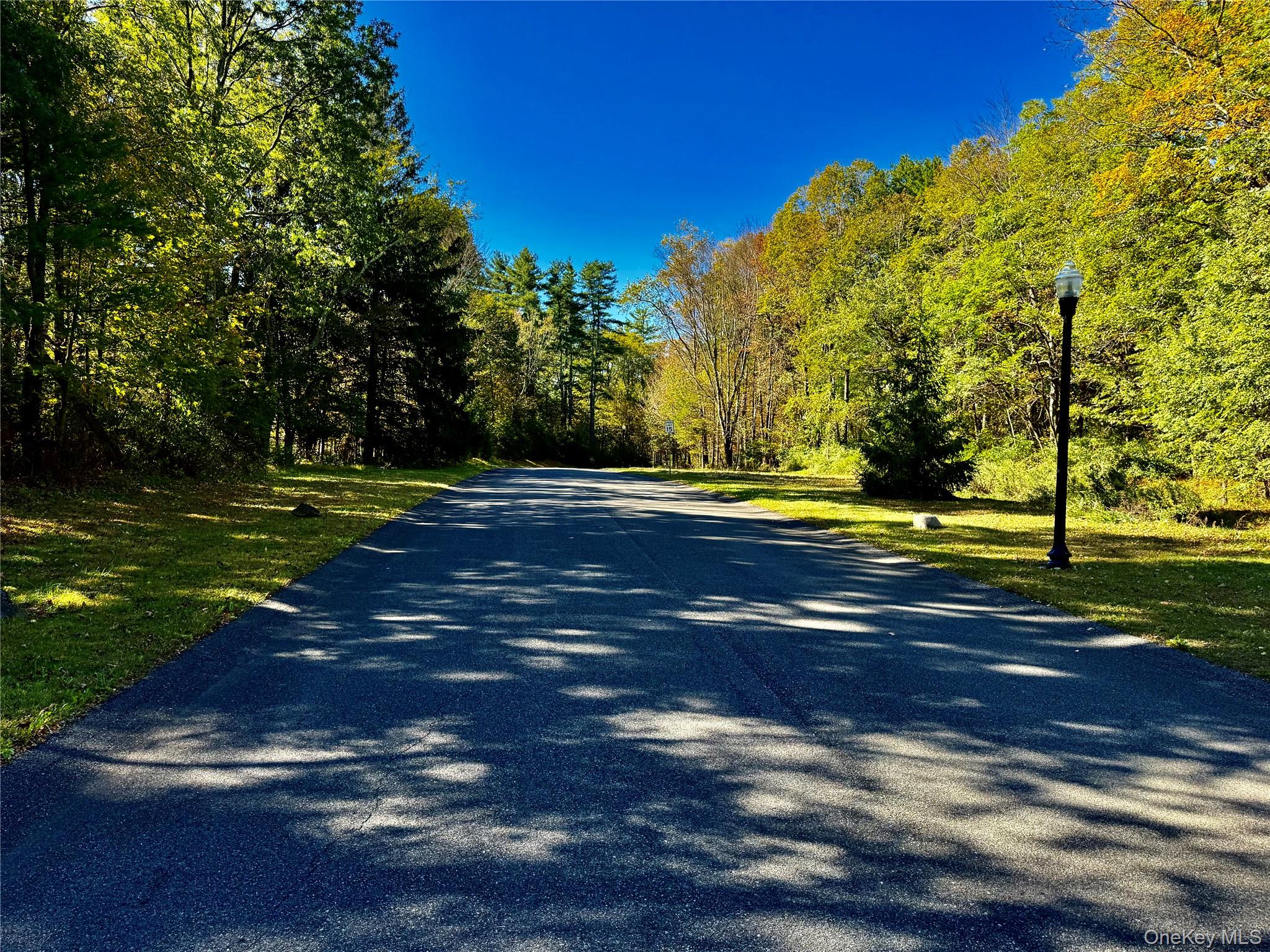 49 Falling Waters Drive, Palenville, NY 12463