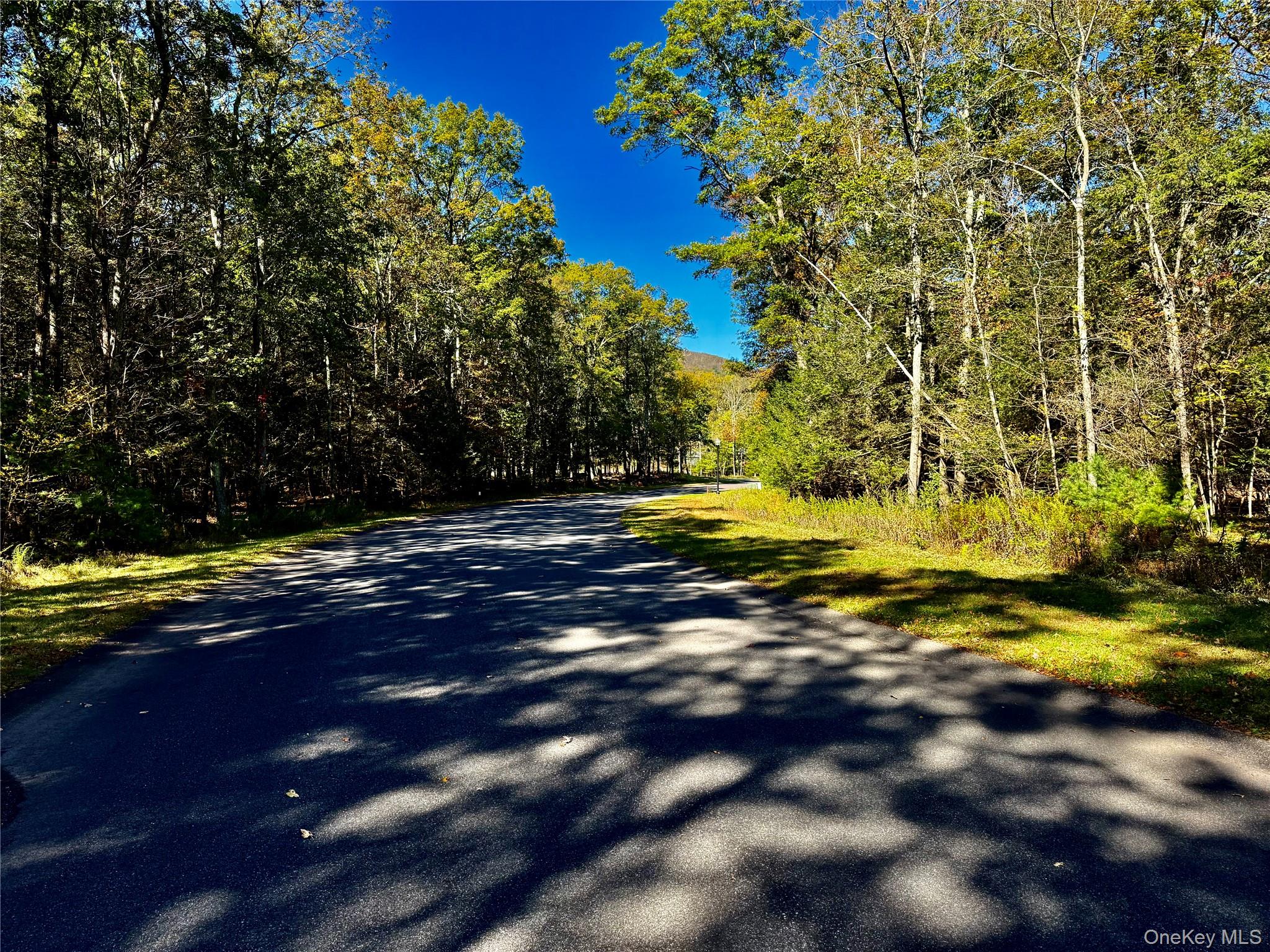 67 Falling Waters Drive, Palenville, NY 12463