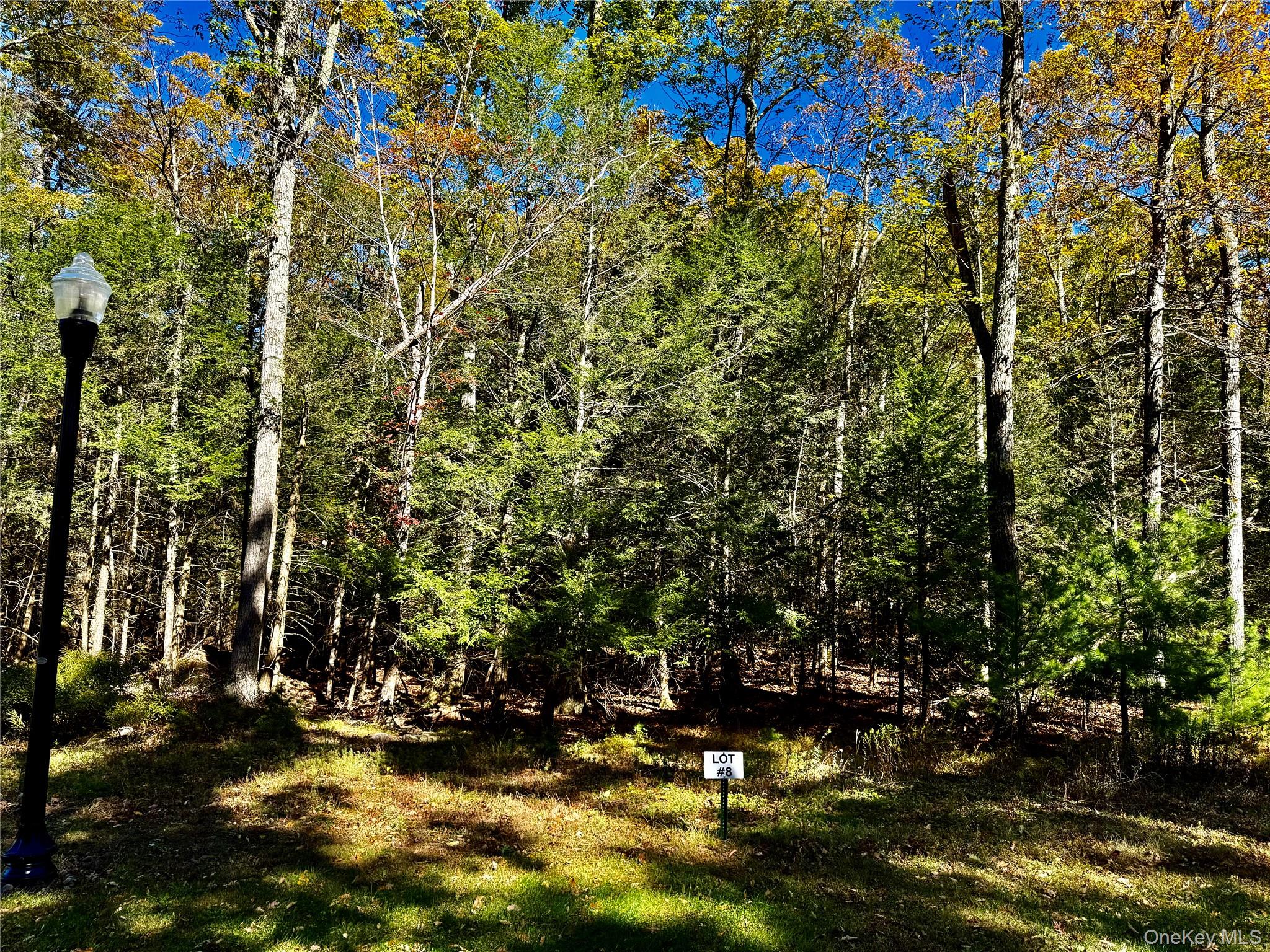 78 Falling Waters Drive, Palenville, NY 12463