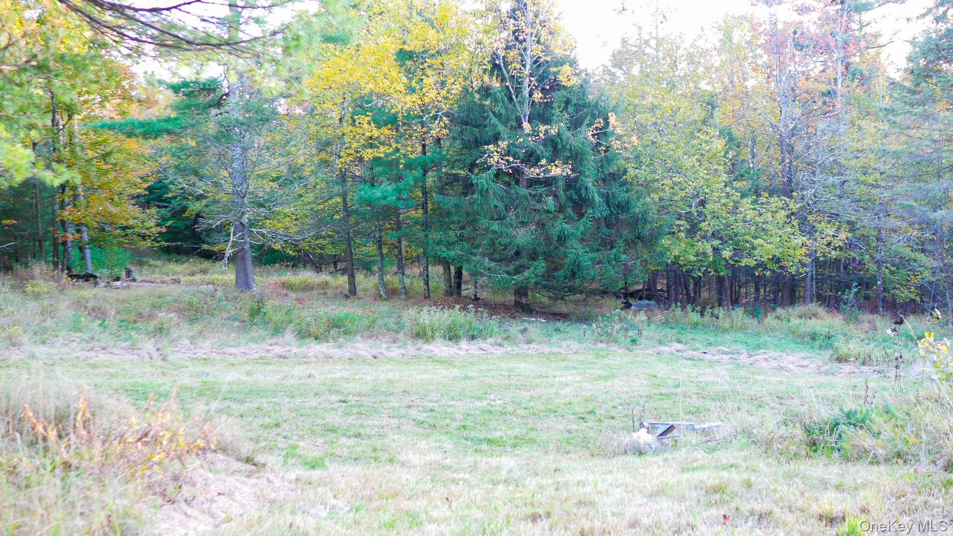 94 Mount Meenagha Road, Ellenville, NY 12428