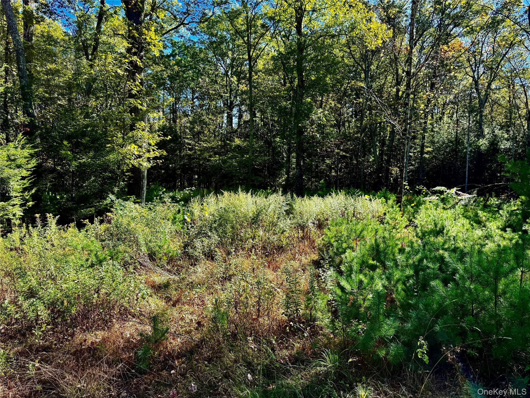 86 Falling Waters Drive, Palenville, NY 12463