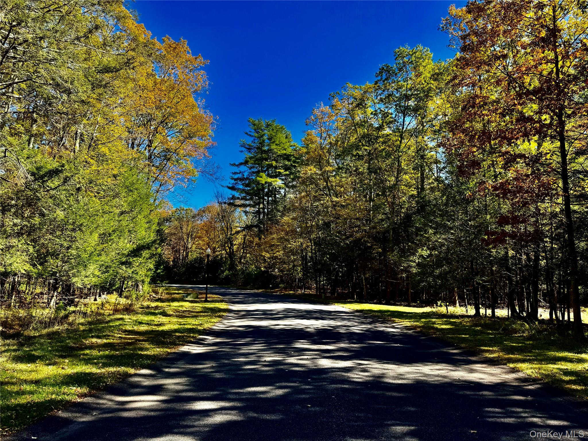 86 Falling Waters Drive, Palenville, NY 12463