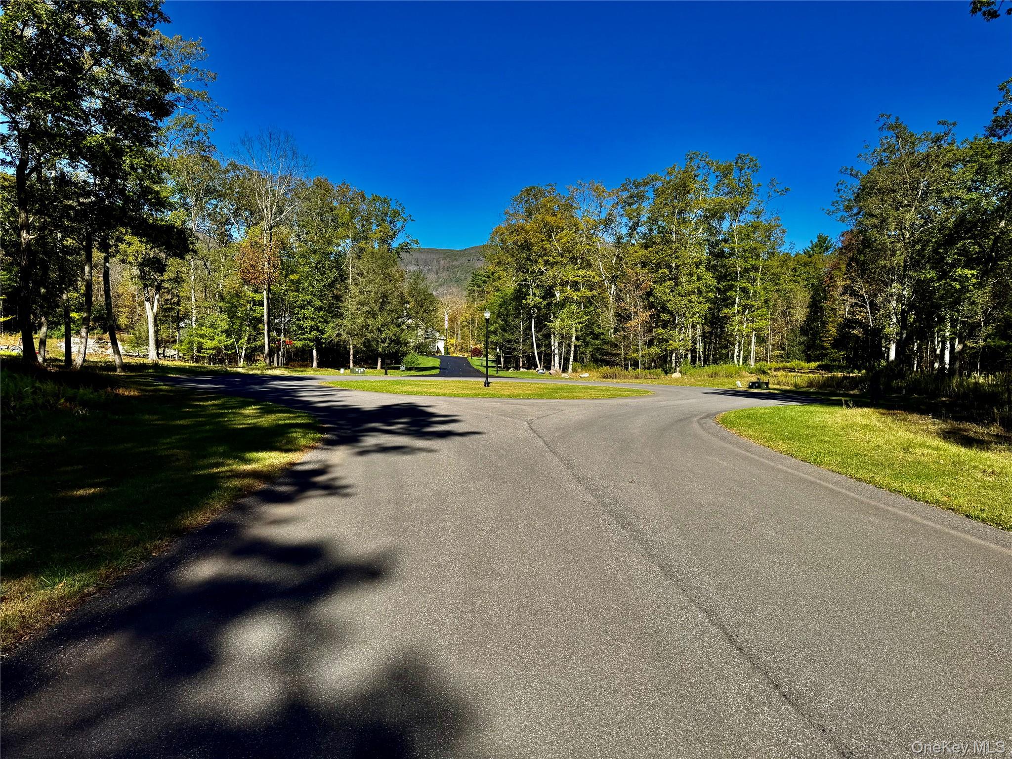 86 Falling Waters Drive, Palenville, NY 12463