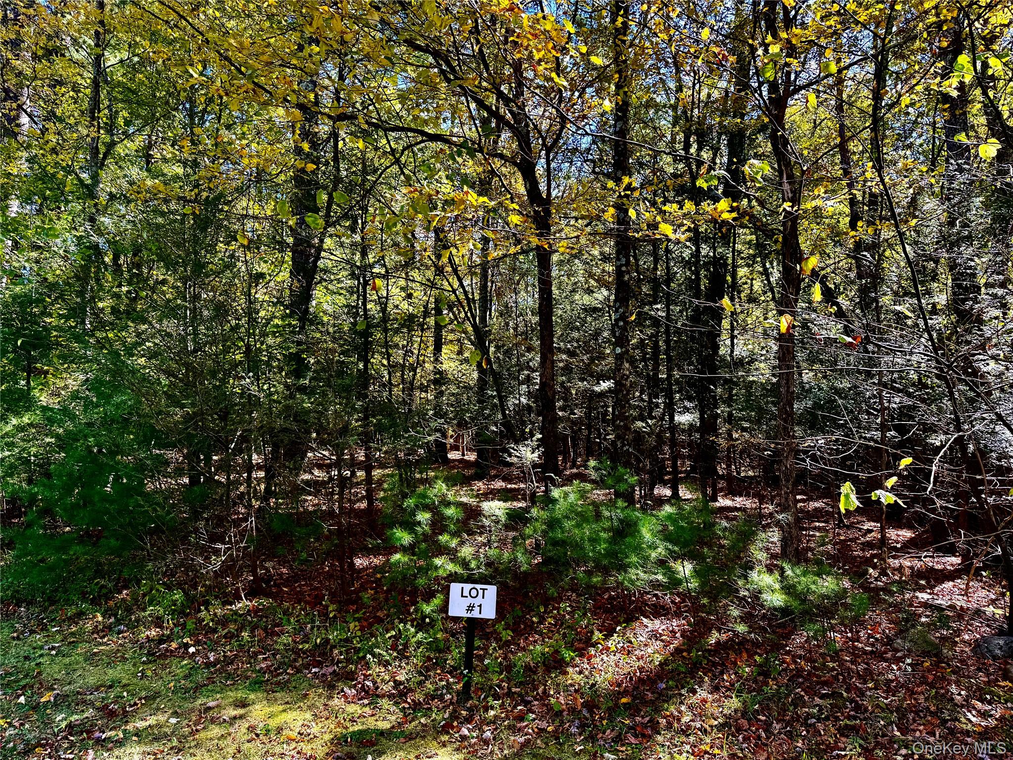 44-86 Falling Waters Drive, Palenville, NY 12463