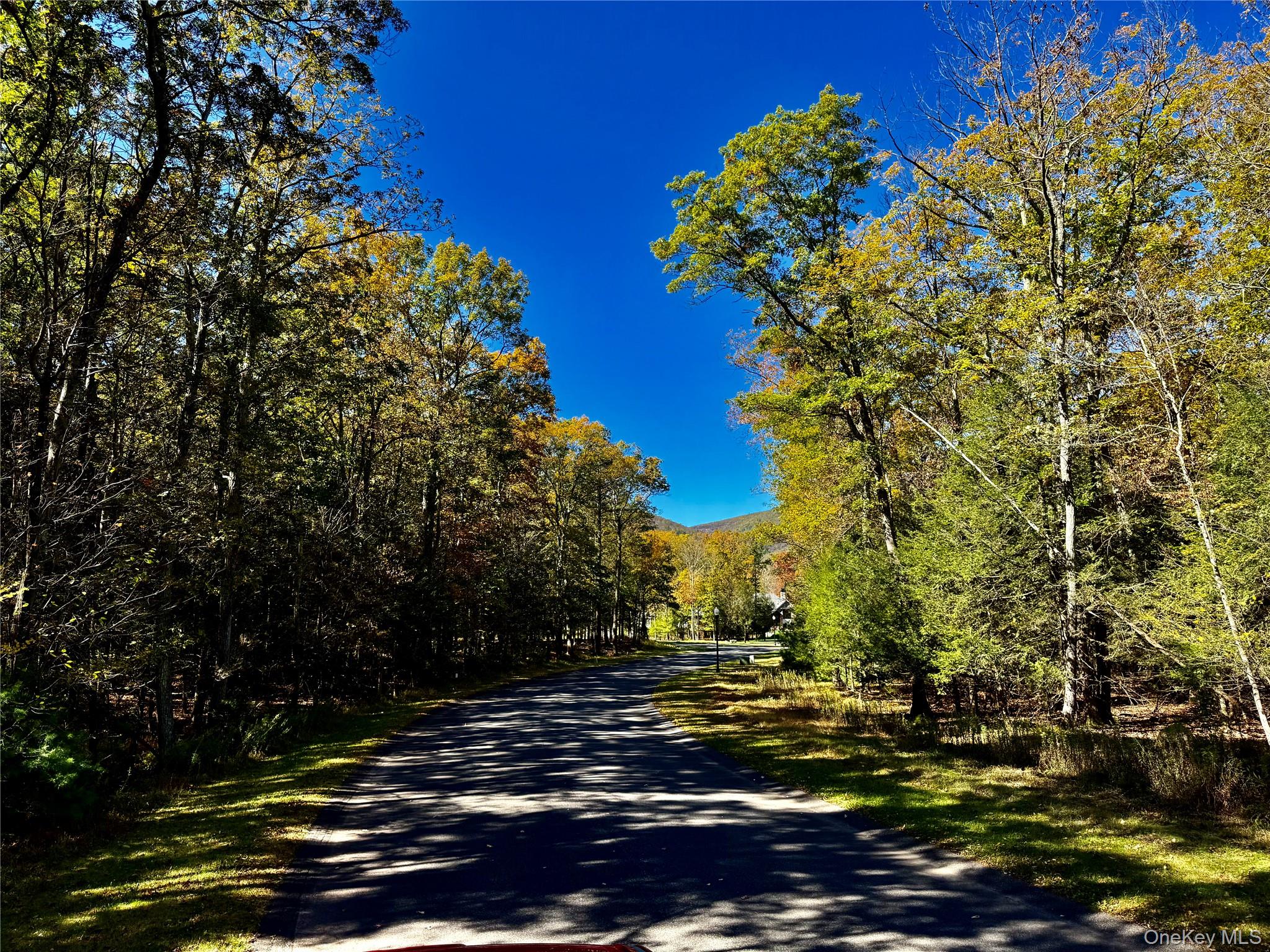 44-86 Falling Waters Drive, Palenville, NY 12463