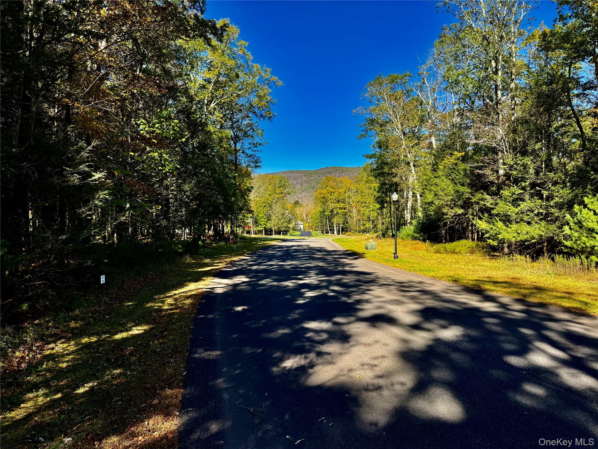 44-86 Falling Waters Drive, Palenville, NY 12463