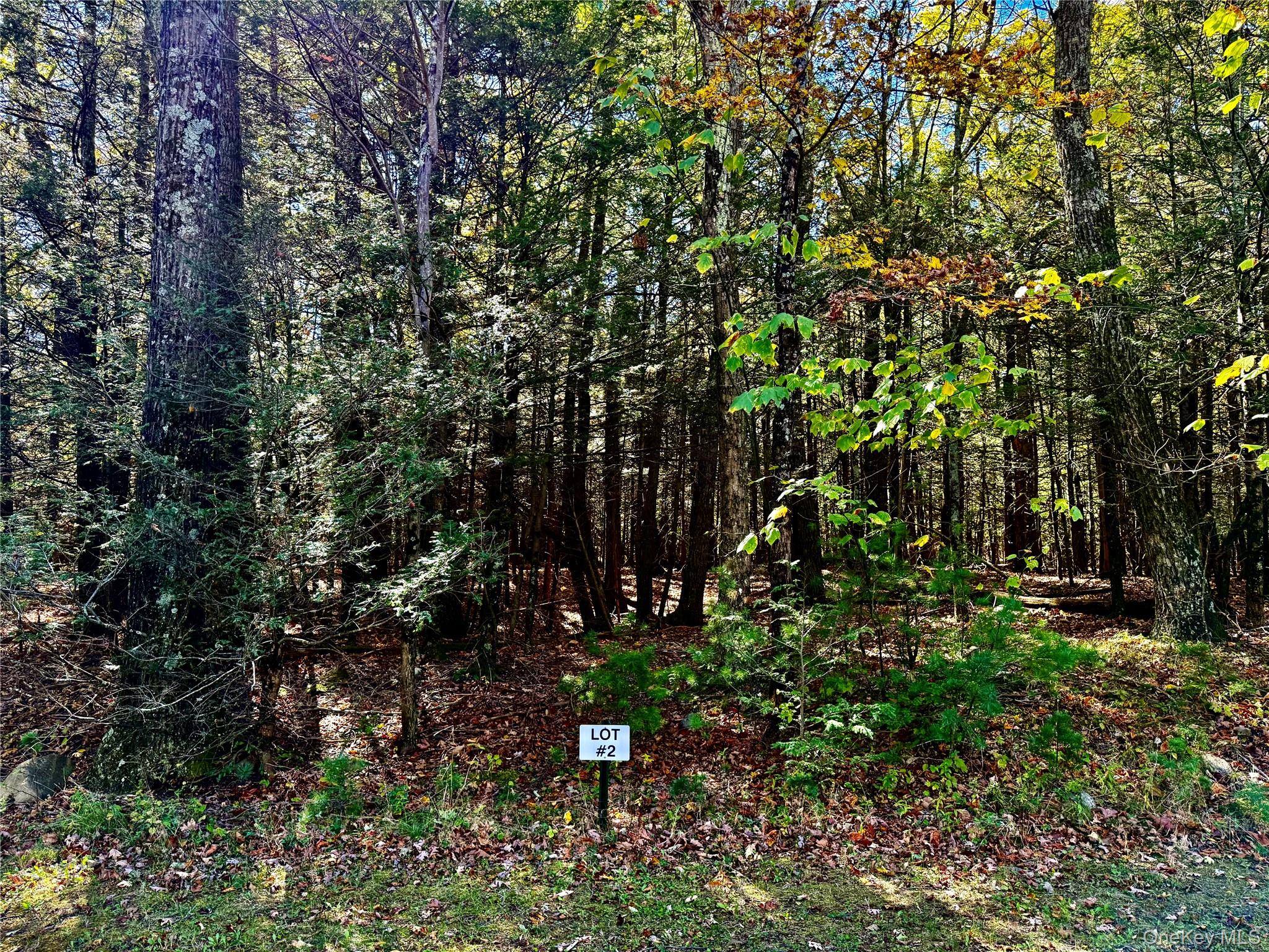 44-86 Falling Waters Drive, Palenville, NY 12463