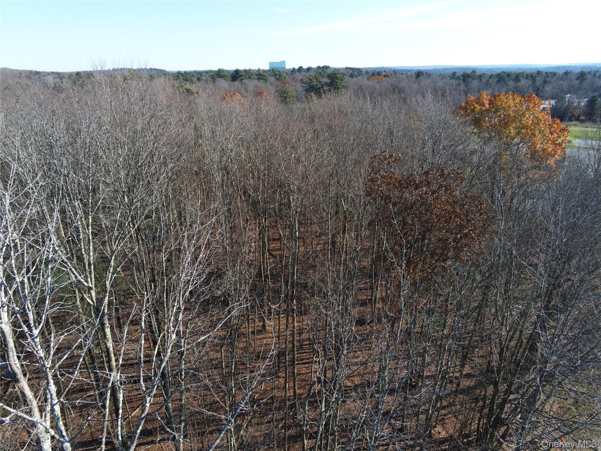 TBT Route 42, Monticello, NY 12701