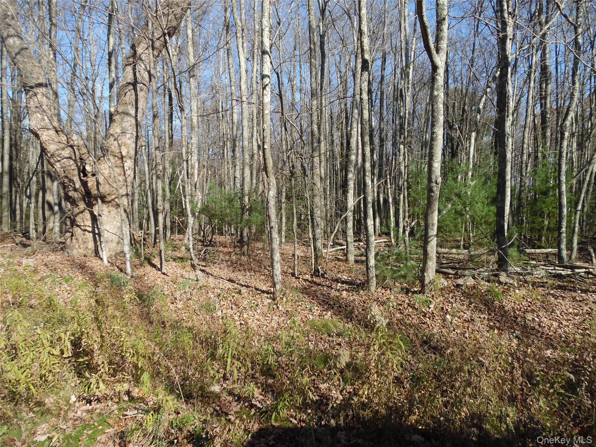 TBT Route 42, Monticello, NY 12701