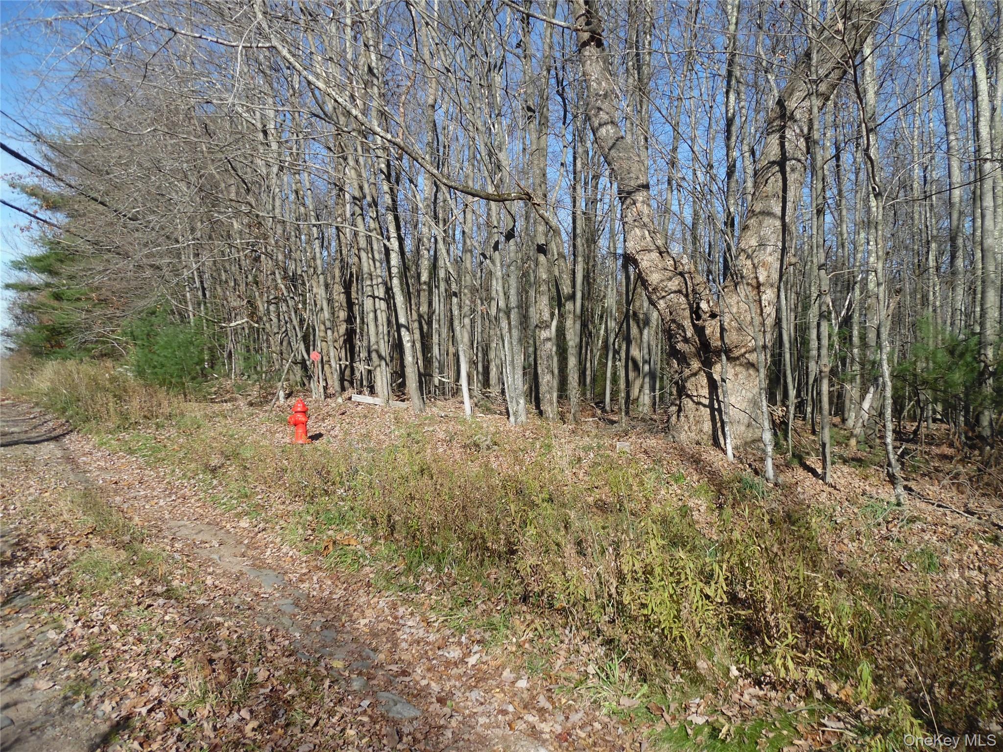 TBT Route 42, Monticello, NY 12701