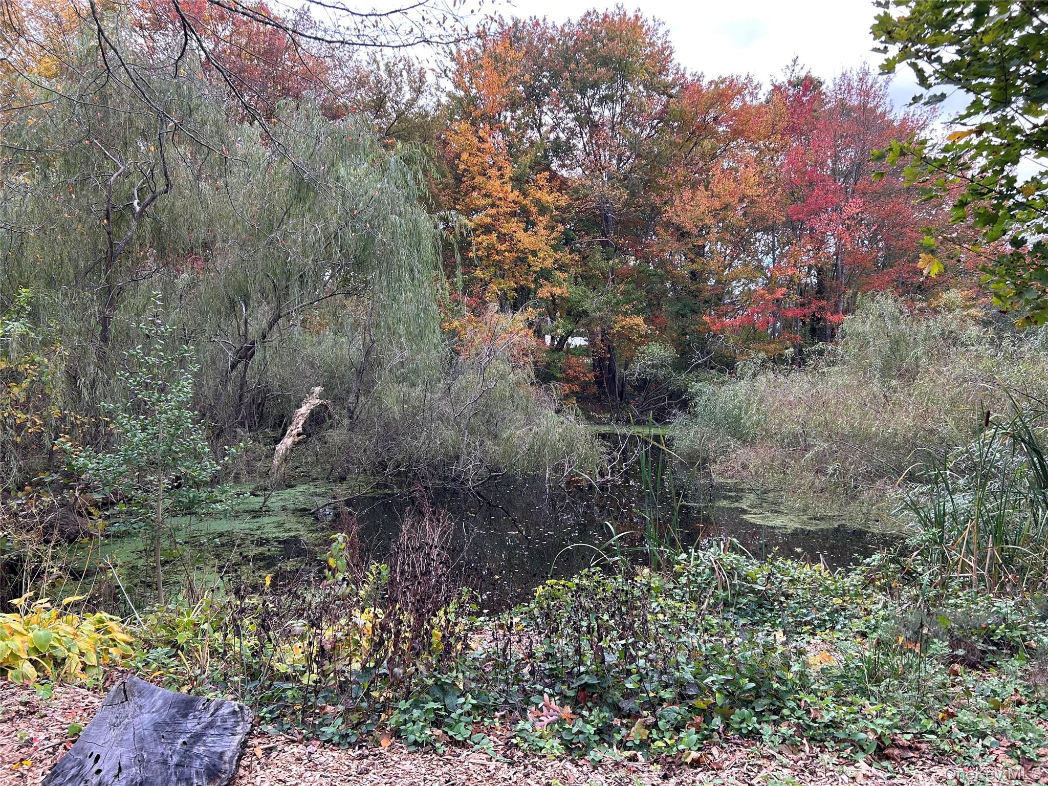 20 E Shore Drive, Patchogue, NY 11772