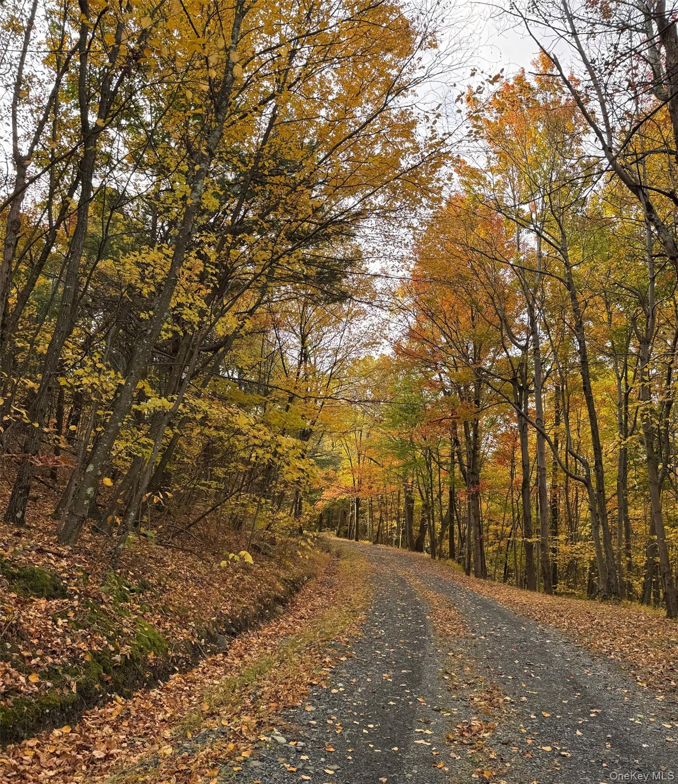 100 Knob Hill Road, Stanfordville, NY 12581