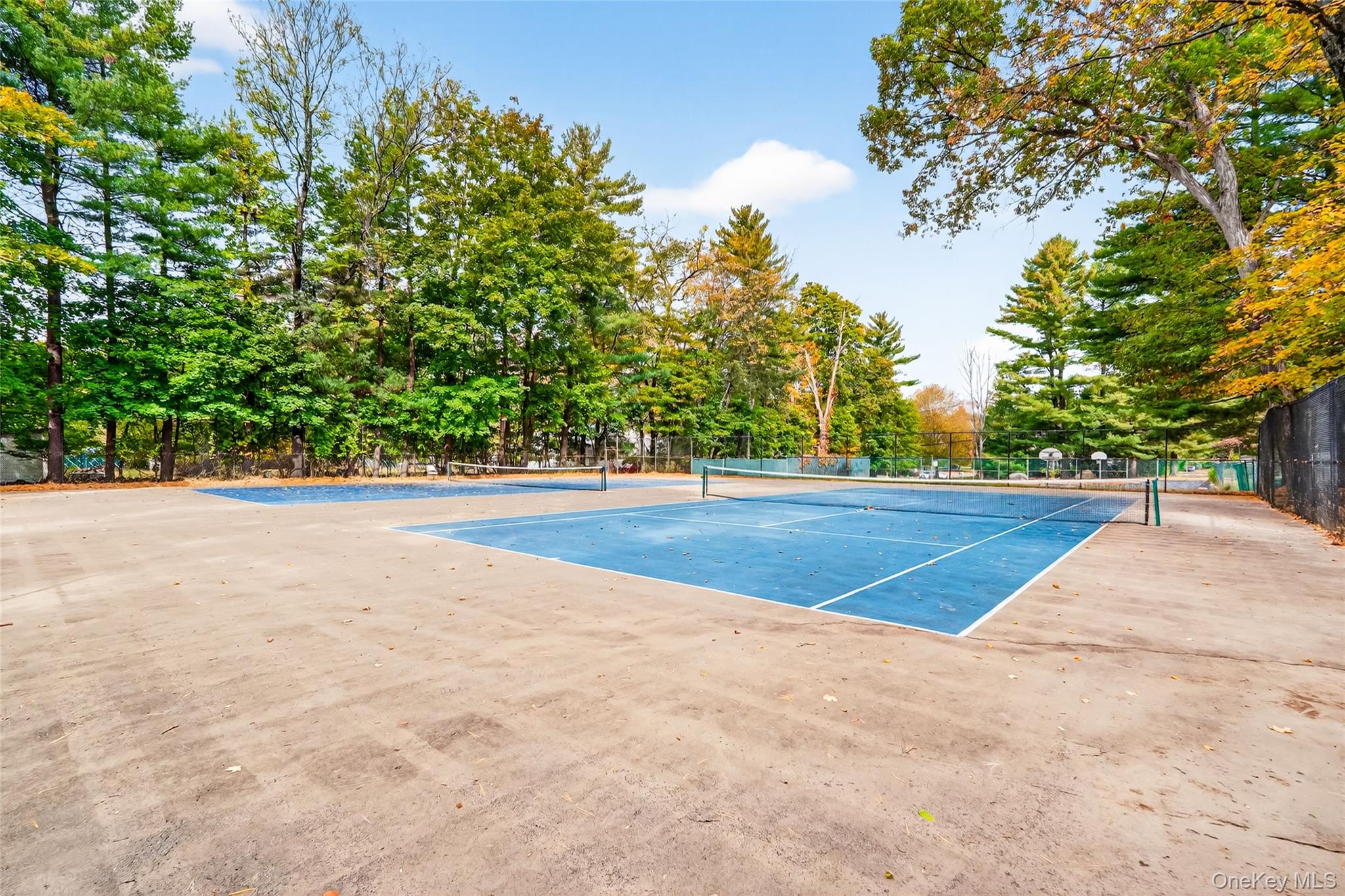 4 Danbury Court # 1306, Suffern, NY 10901