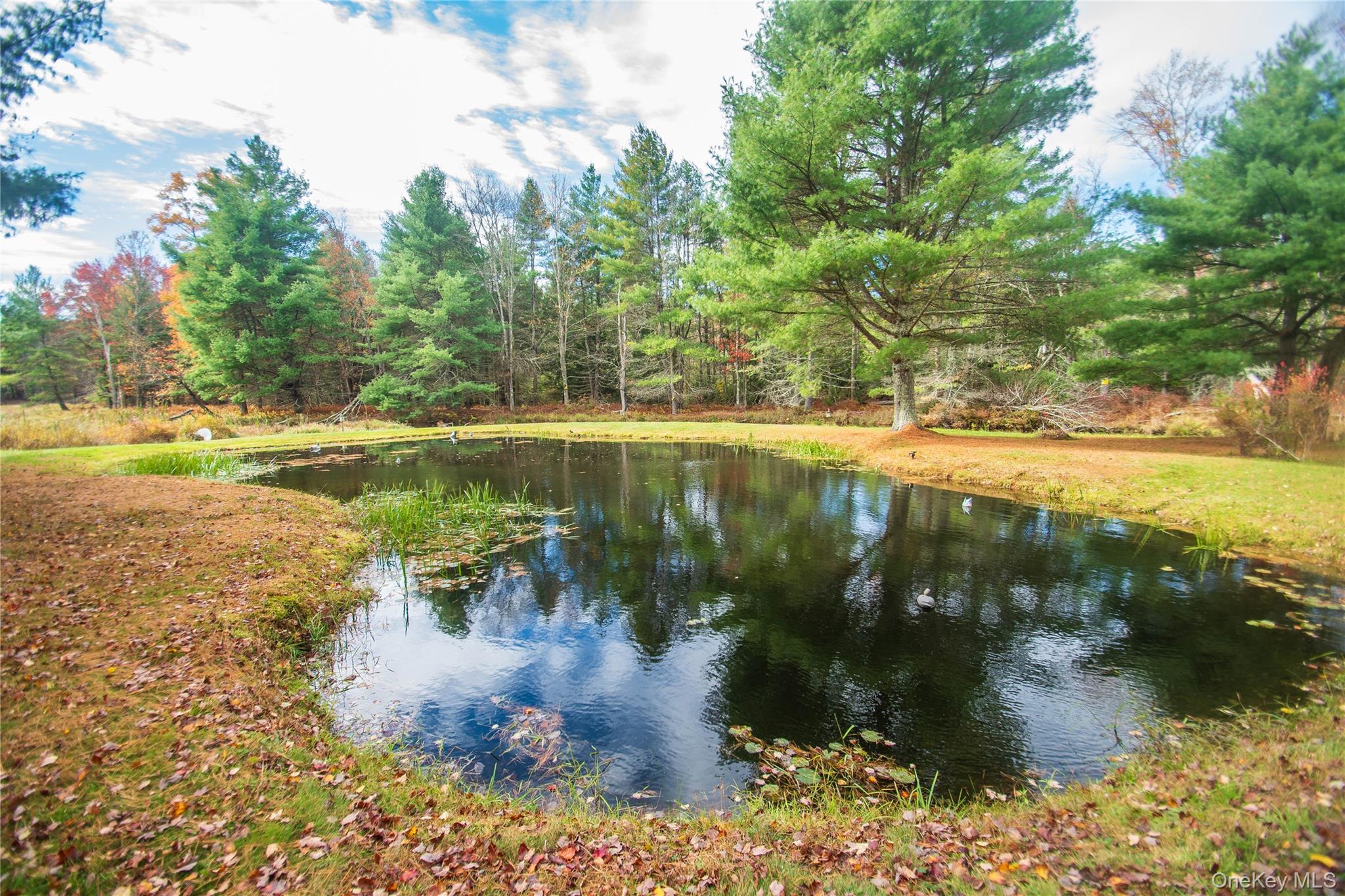 20 Valley Road, Forestburgh, NY 12777