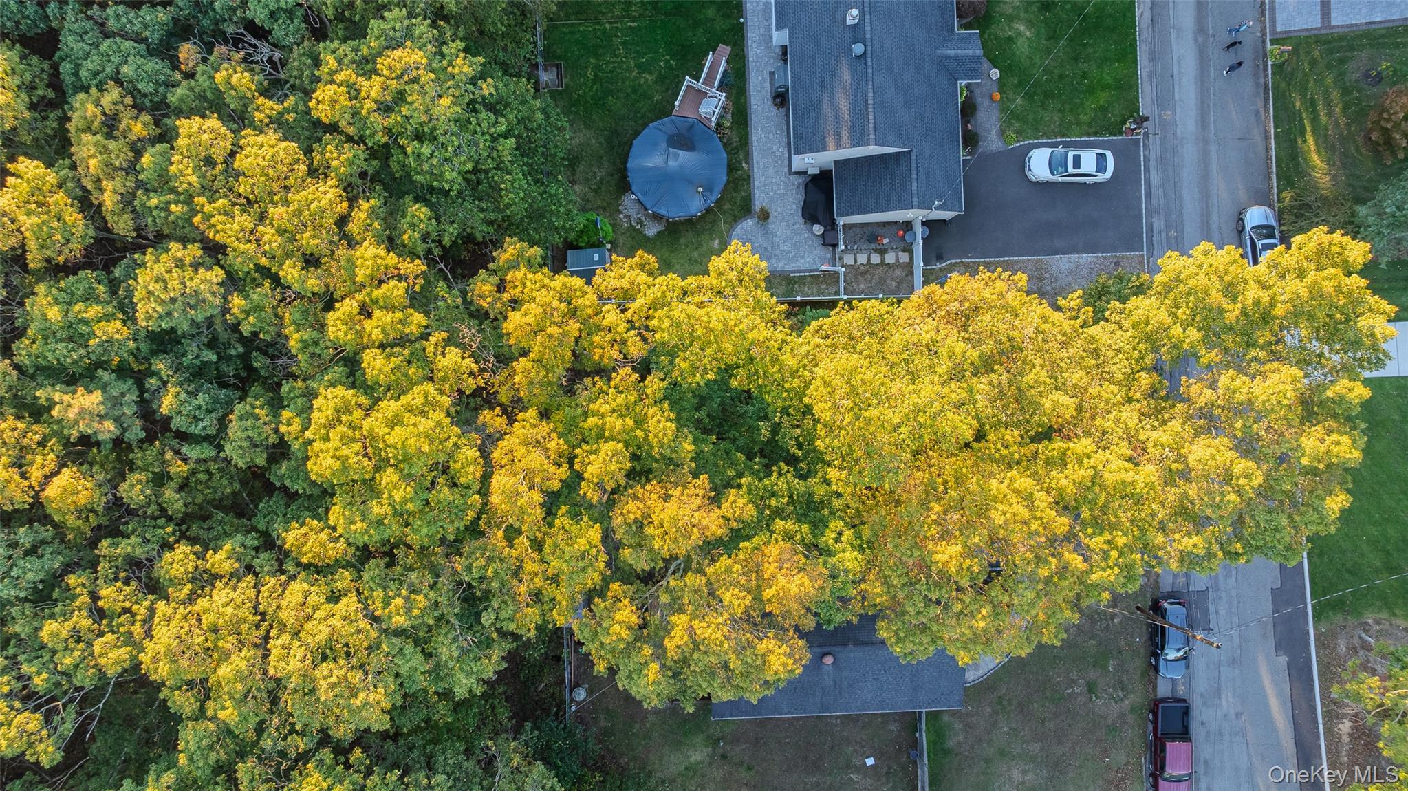 Arlington St, Patchogue, NY 11772