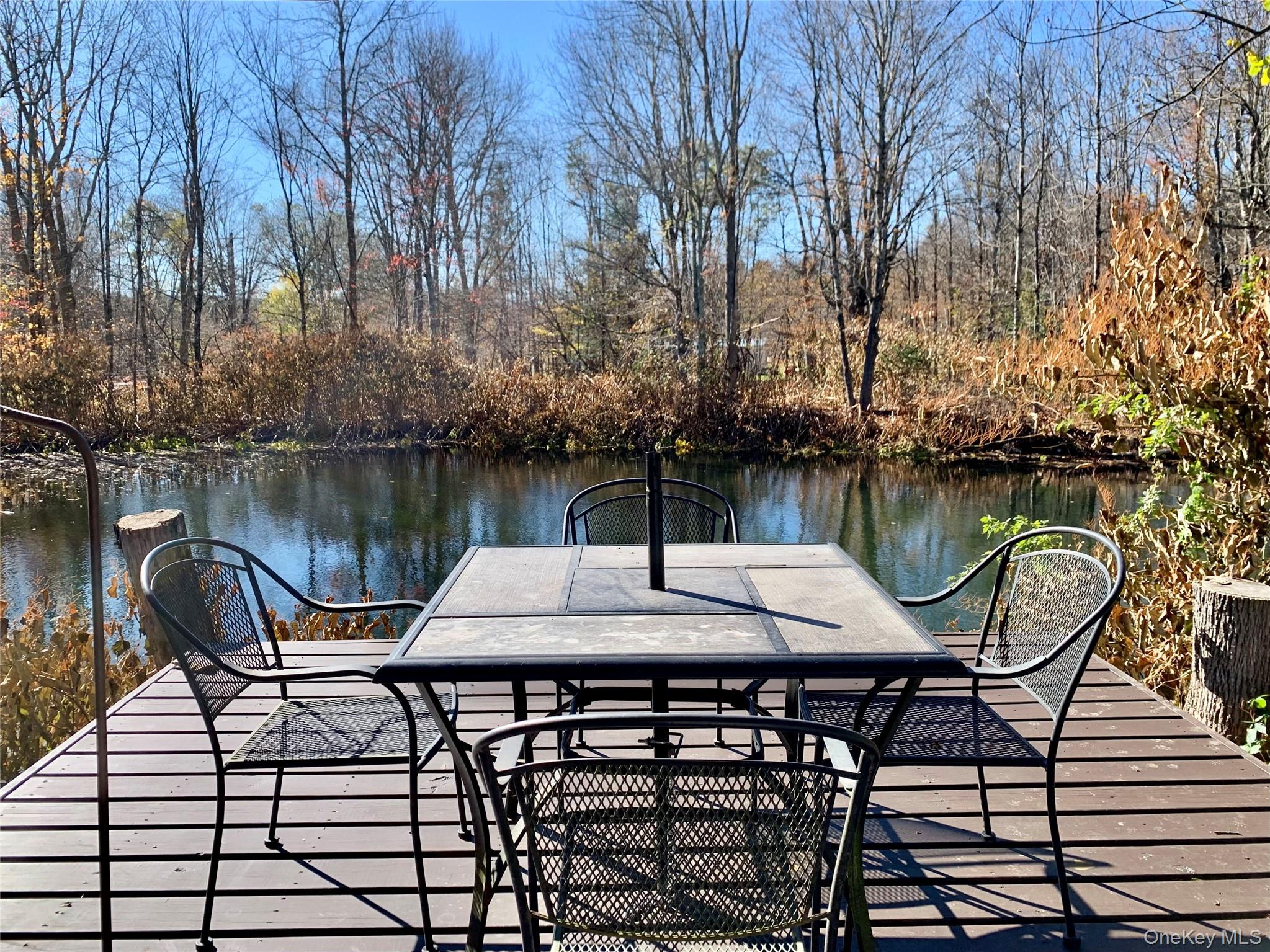 13 Grooville Road, Livingston Manor, NY 12758