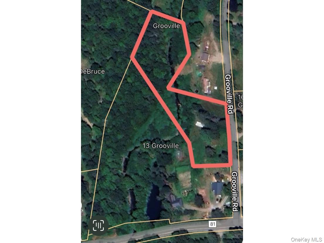 13 Grooville Road, Livingston Manor, NY 12758