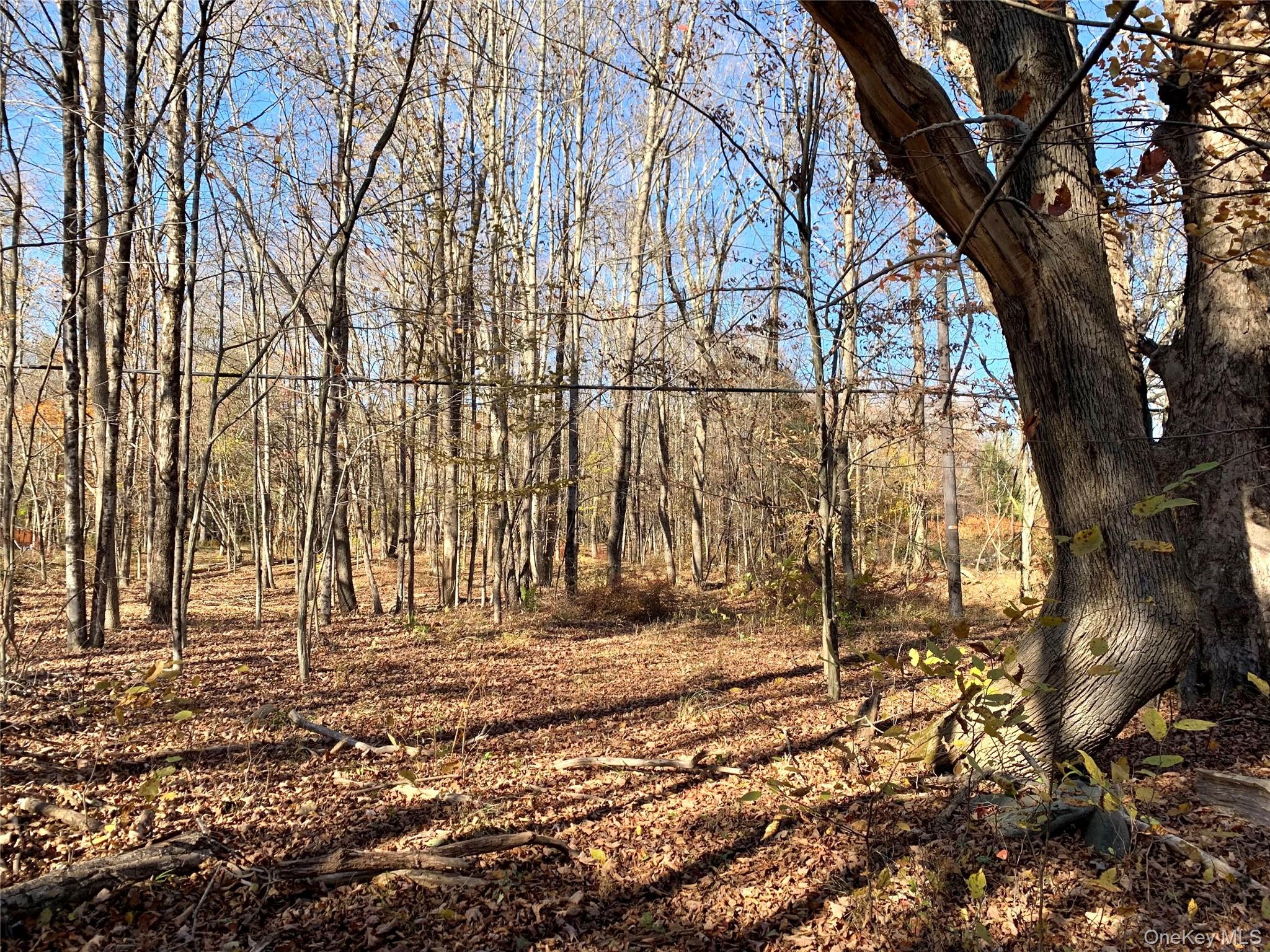 13 Grooville Road, Livingston Manor, NY 12758