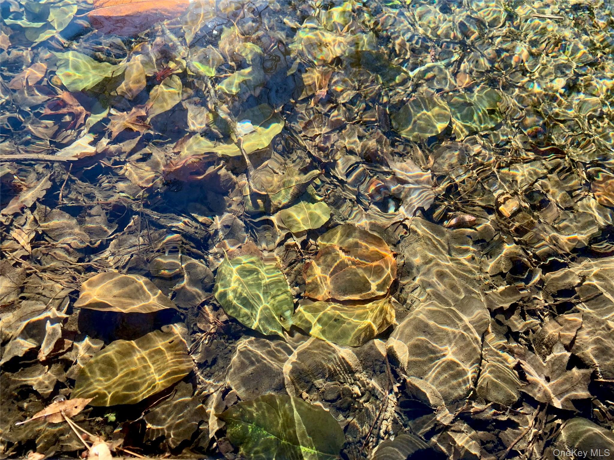 13 Grooville Road, Livingston Manor, NY 12758