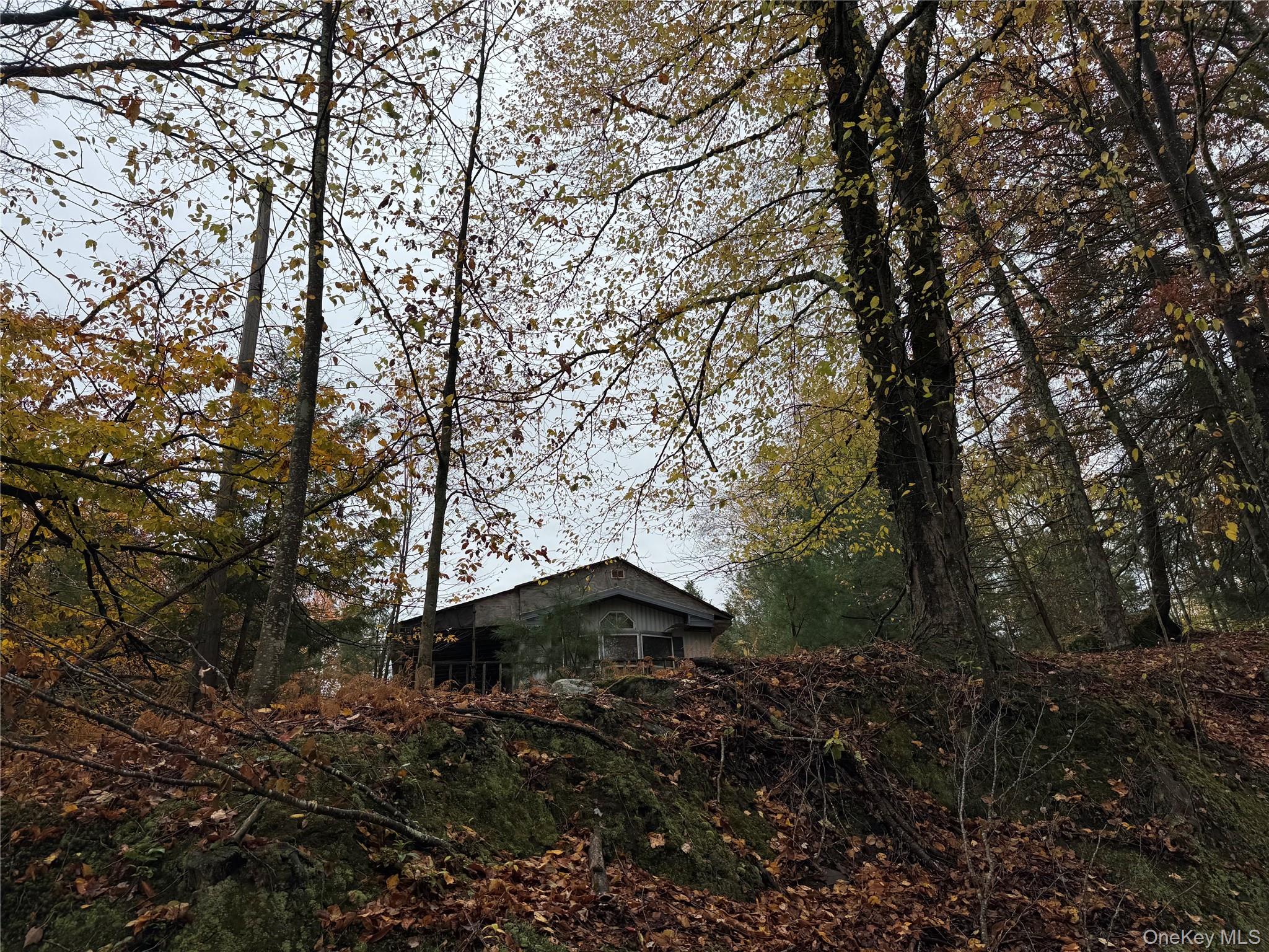 296 Southwoods Drive, Monticello, NY 12701