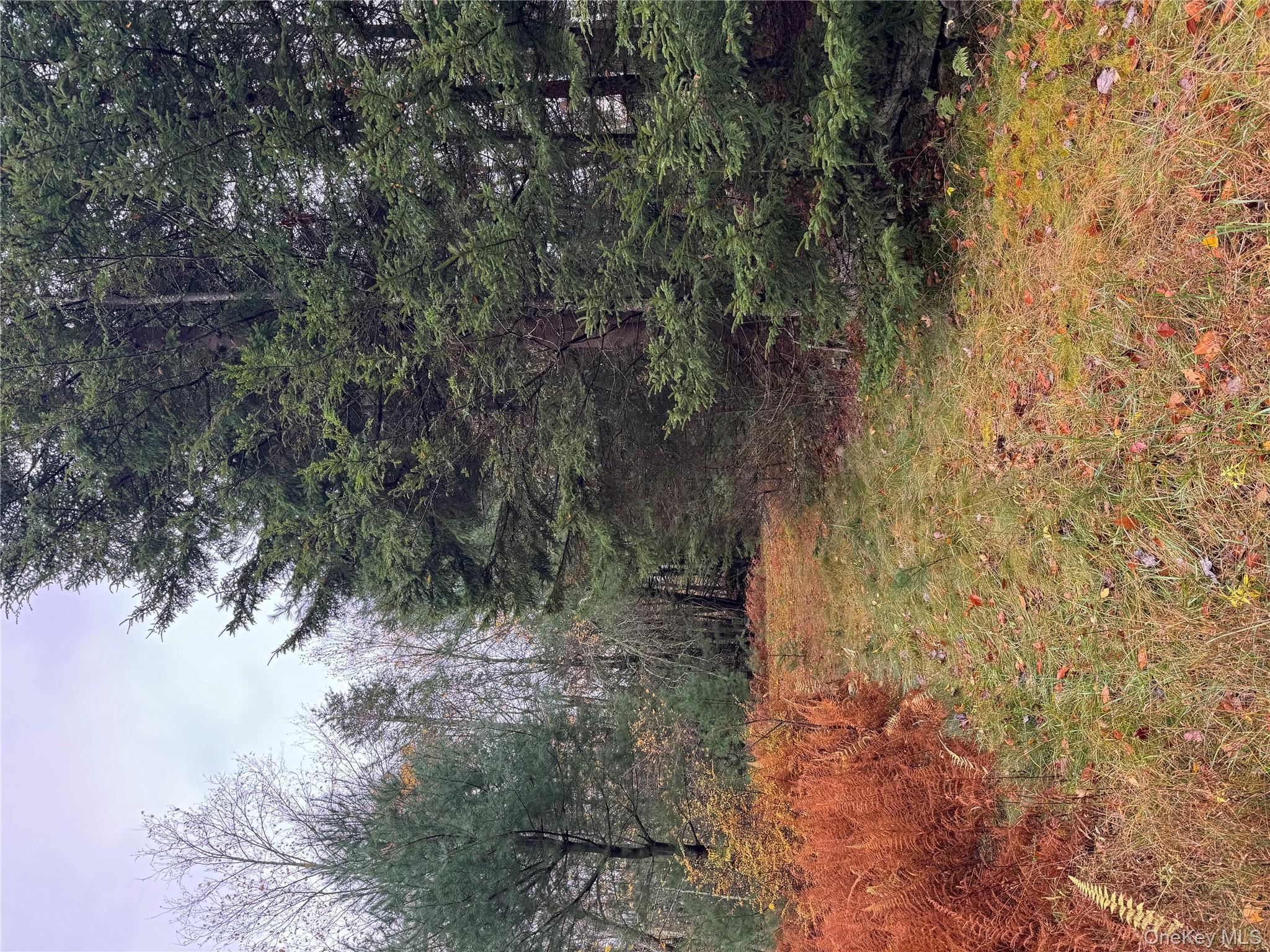 296 Southwoods Drive, Monticello, NY 12701