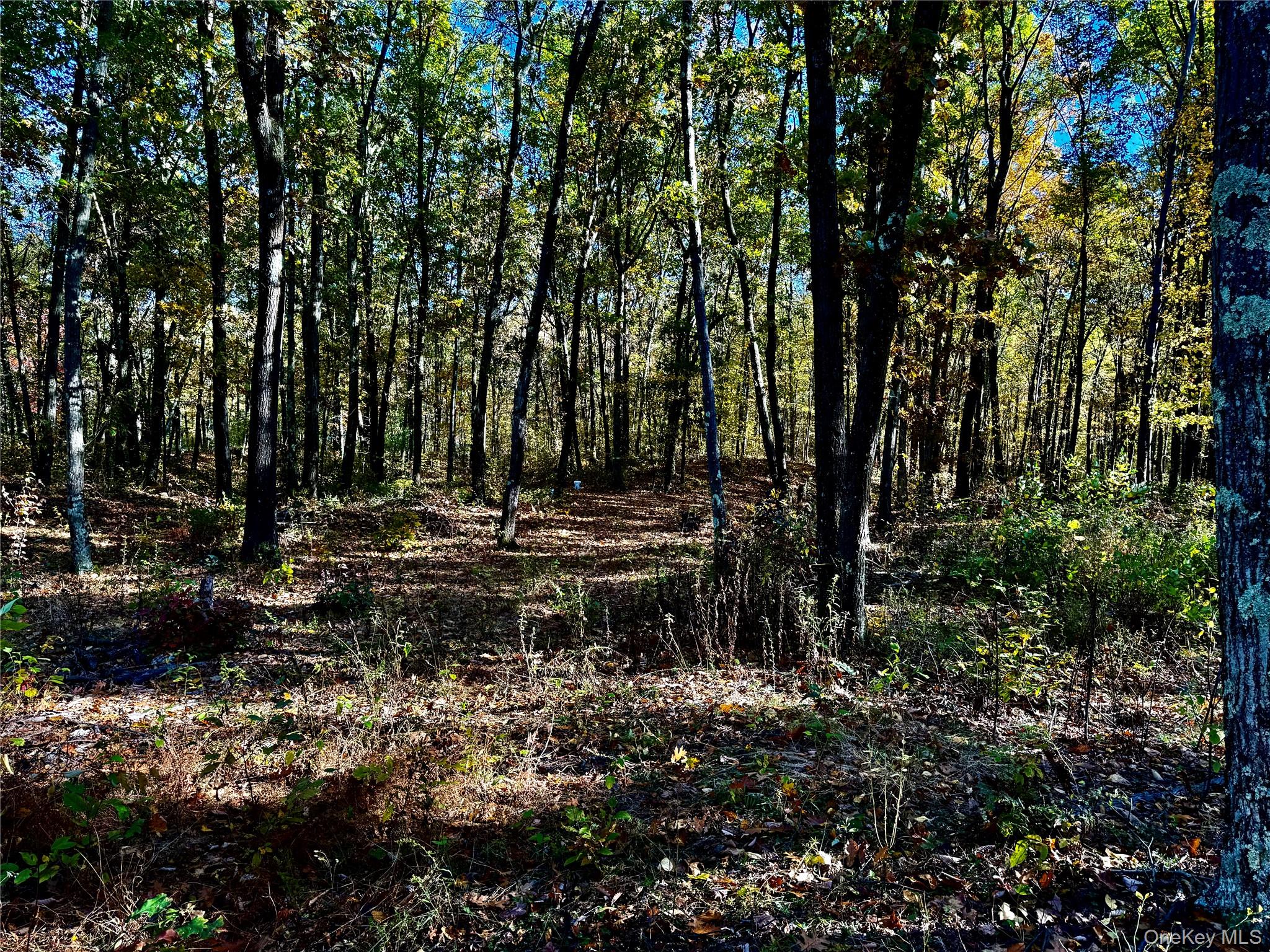 36 Fallkill Road, Hyde Park, NY 12538