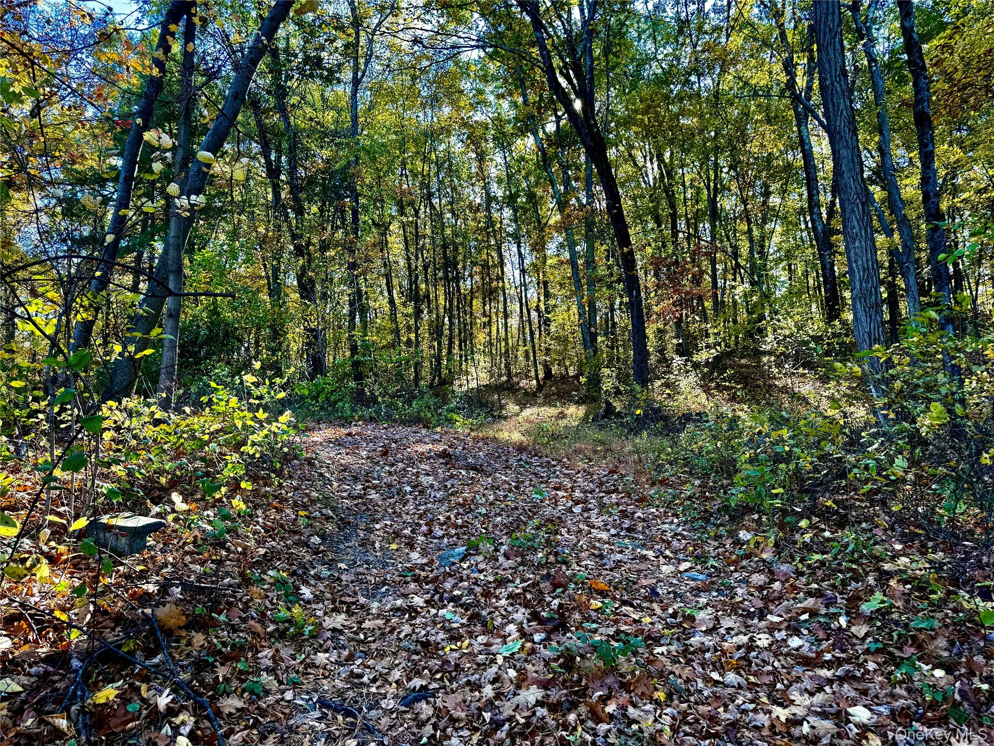 36 Fallkill Road, Hyde Park, NY 12538