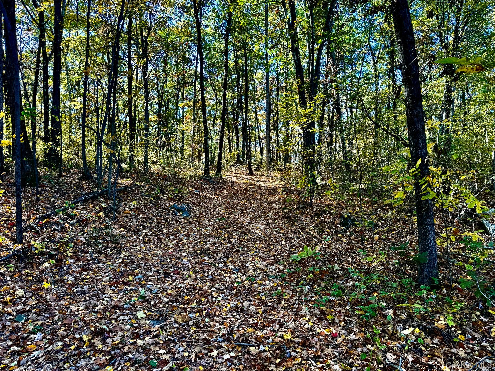 36 Fallkill Road, Hyde Park, NY 12538