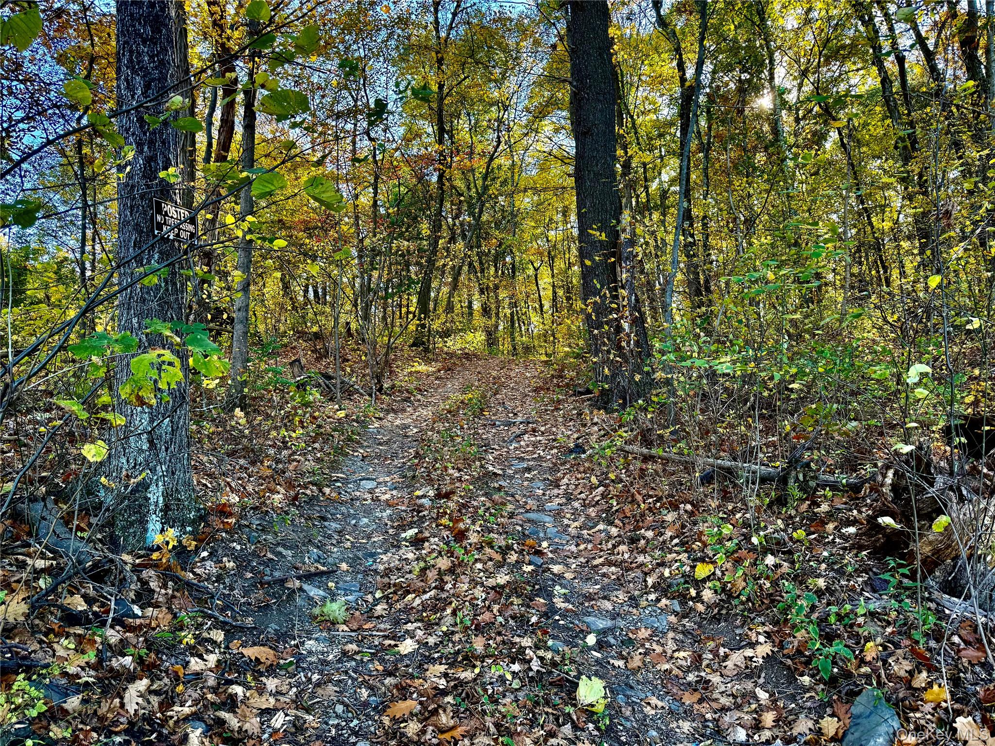 36 Fallkill Road, Hyde Park, NY 12538