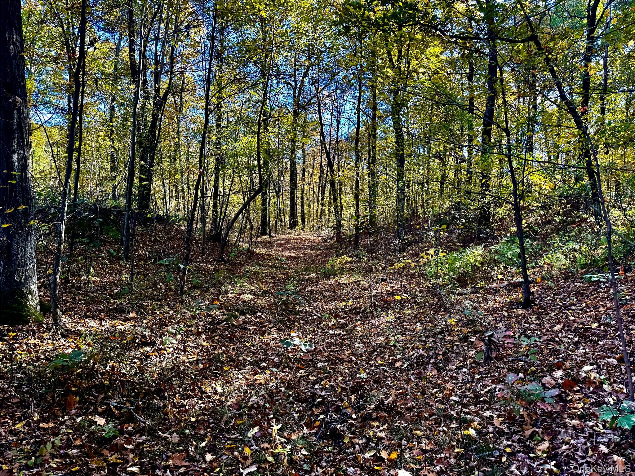 36 Fallkill Road, Hyde Park, NY 12538