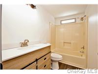 32 Meadow Street, Livingston Manor, NY 12758