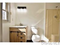 32 Meadow Street, Livingston Manor, NY 12758