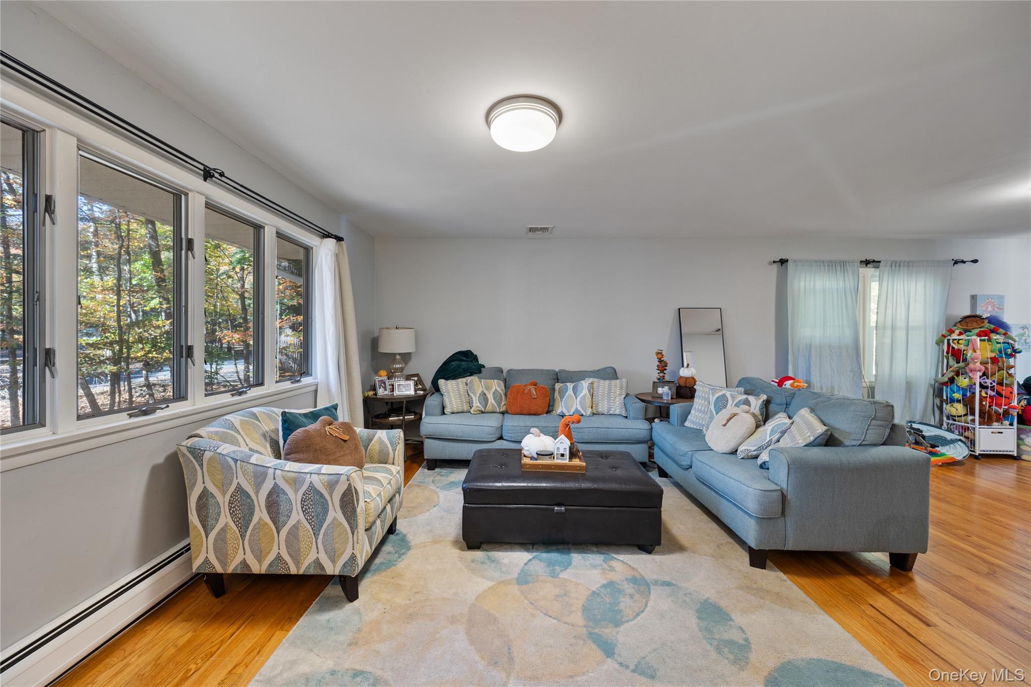 19 Apple Blossom Court, Airmont, NY 10952