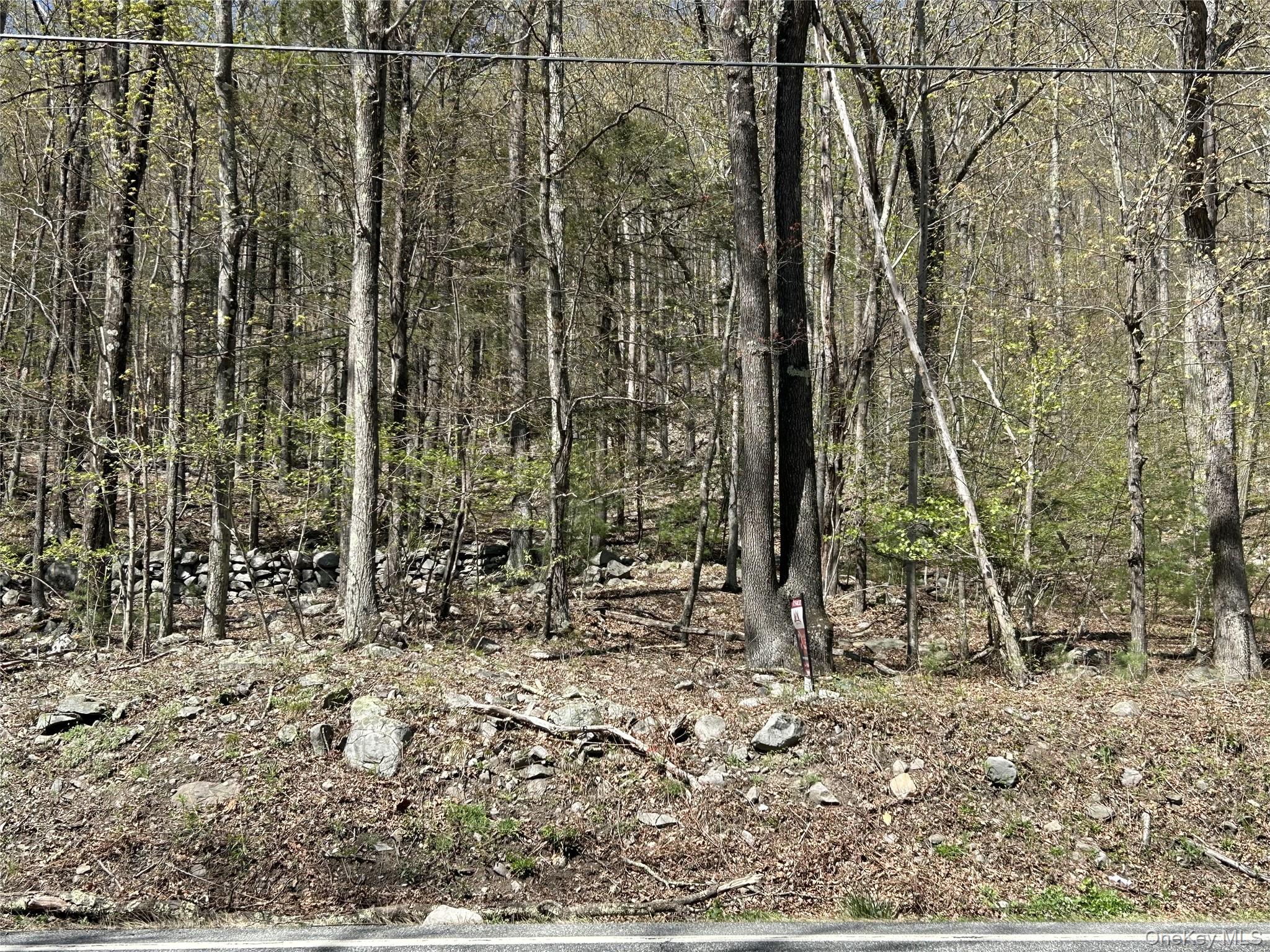 14 Hawk Mountain Drive, Sparrowbush, NY 12780