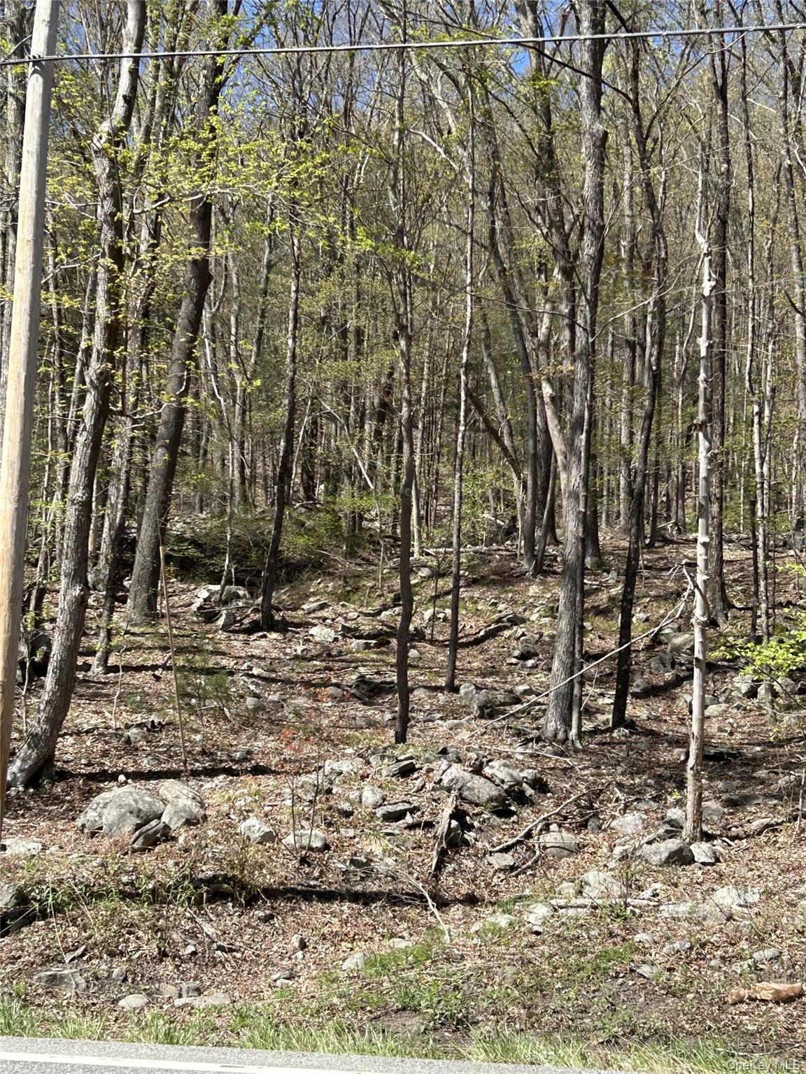 14 Hawk Mountain Drive, Sparrowbush, NY 12780