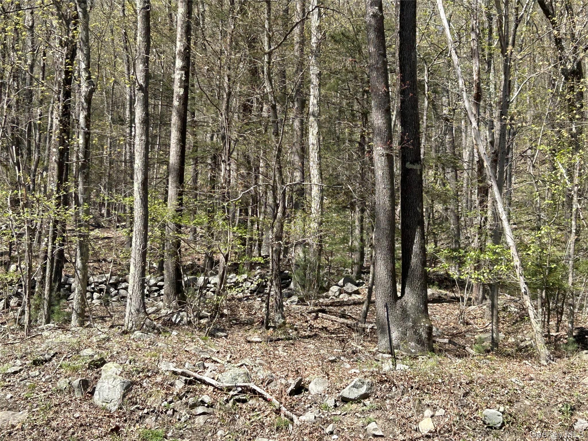 14 Hawk Mountain Drive, Sparrowbush, NY 12780