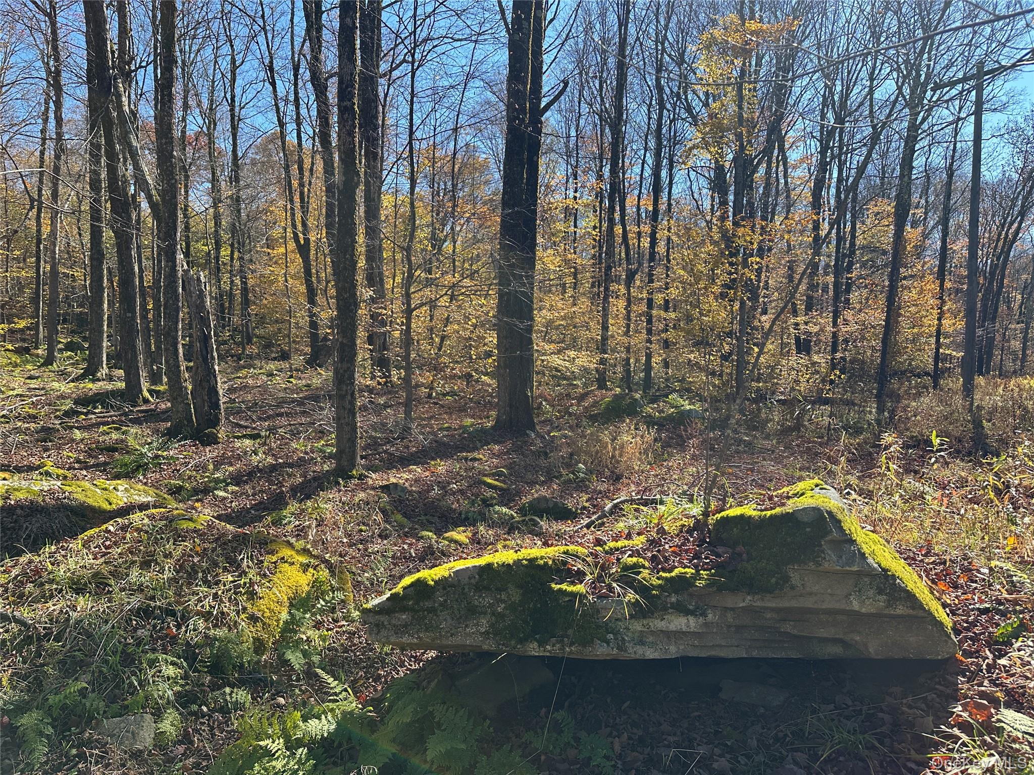 24 Mud Pond Road, Livingston Manor, NY 12758