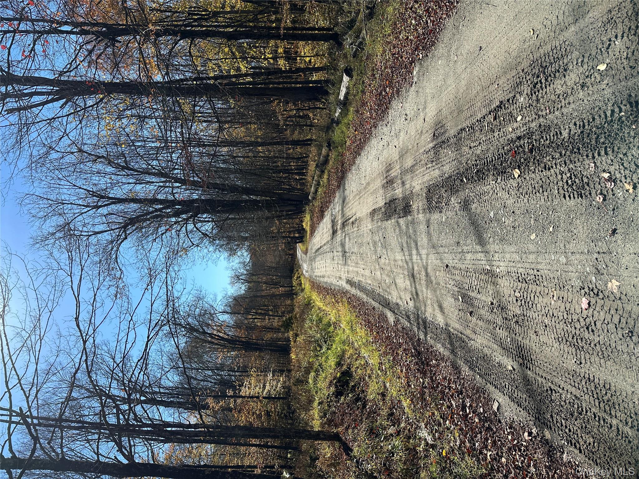 24 Mud Pond Road, Livingston Manor, NY 12758