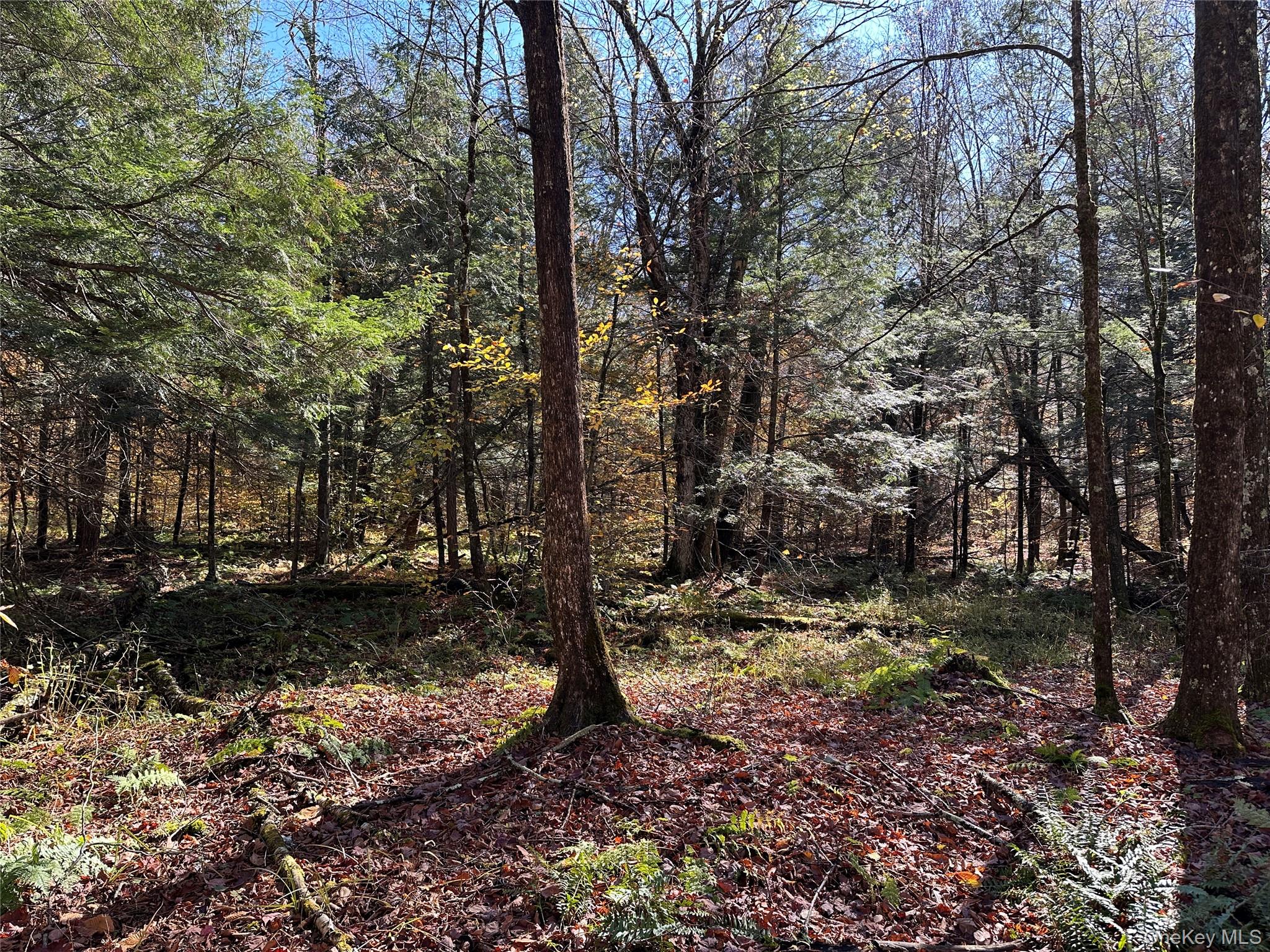 24 Mud Pond Road, Livingston Manor, NY 12758