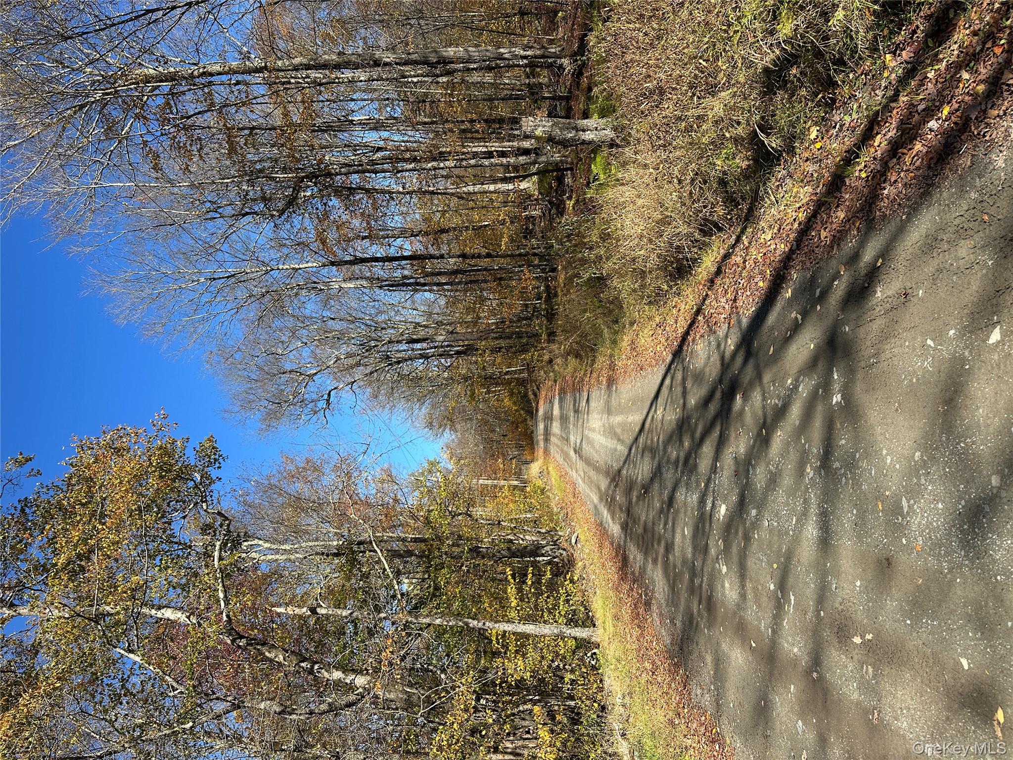 24 Mud Pond Road, Livingston Manor, NY 12758