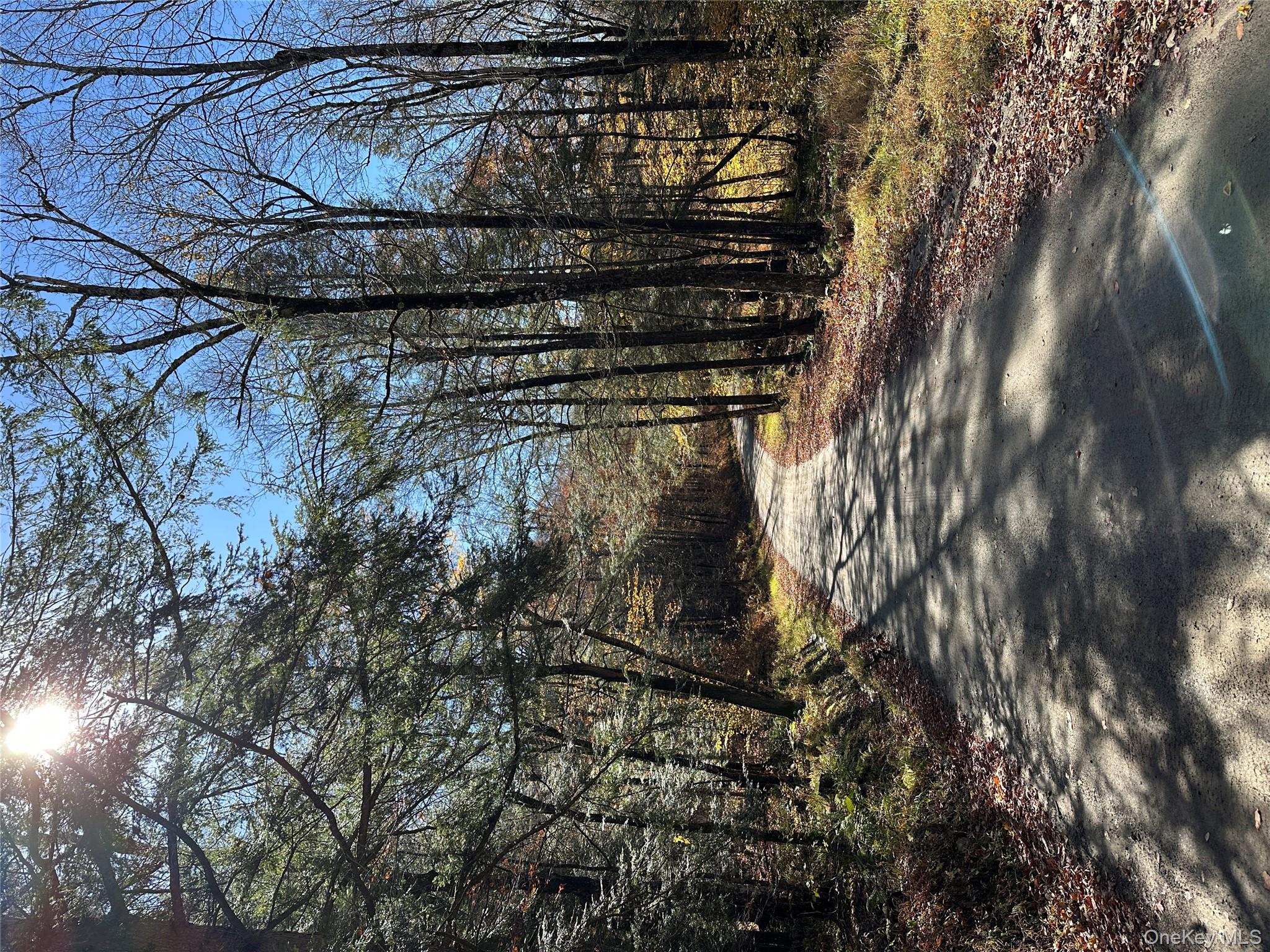 24 Mud Pond Road, Livingston Manor, NY 12758