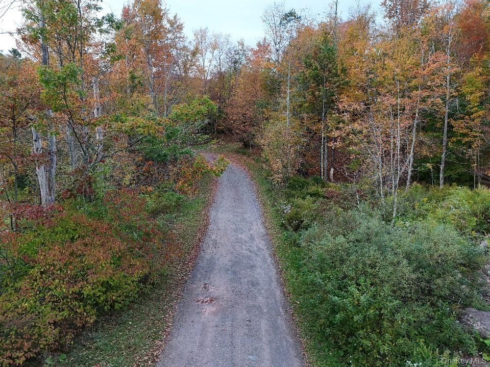 TBD Kornell Drive, Haines Falls, NY 12436