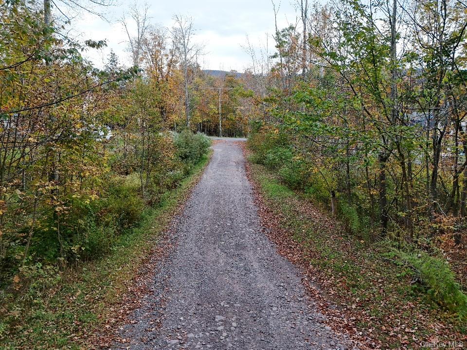 TBD Kornell Drive, Haines Falls, NY 12436