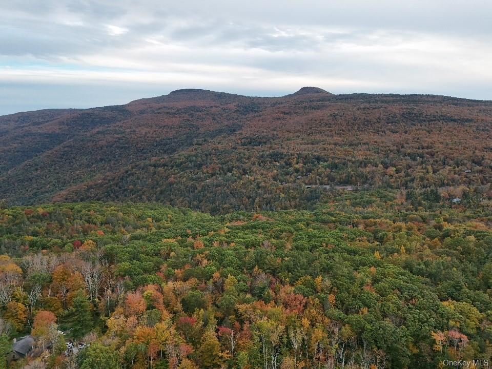 TBD Kornell Drive, Haines Falls, NY 12436