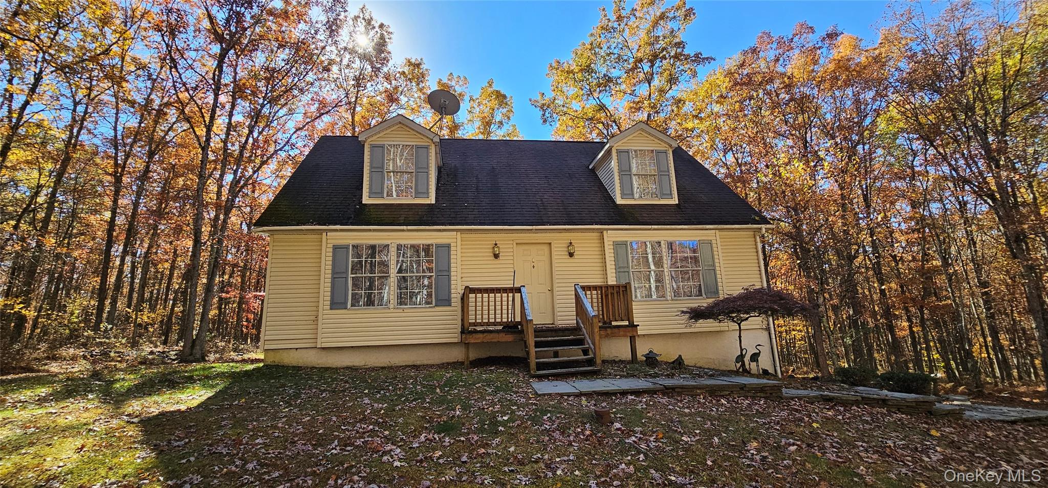 323 Cushetunk Drive, Cochecton, NY 12726