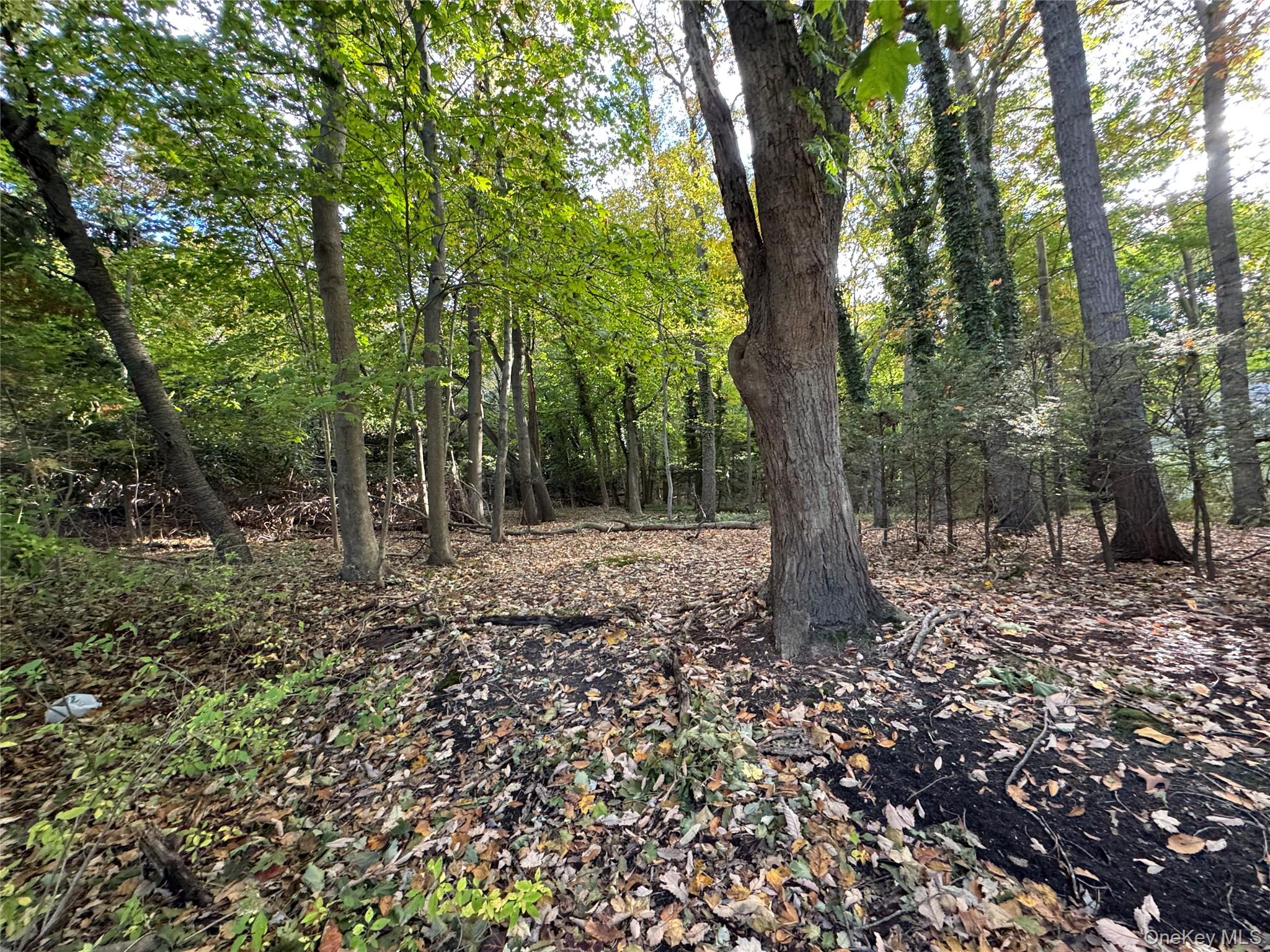 Thompson St/E. Broadway, Port Jefferson Village, NY 11777