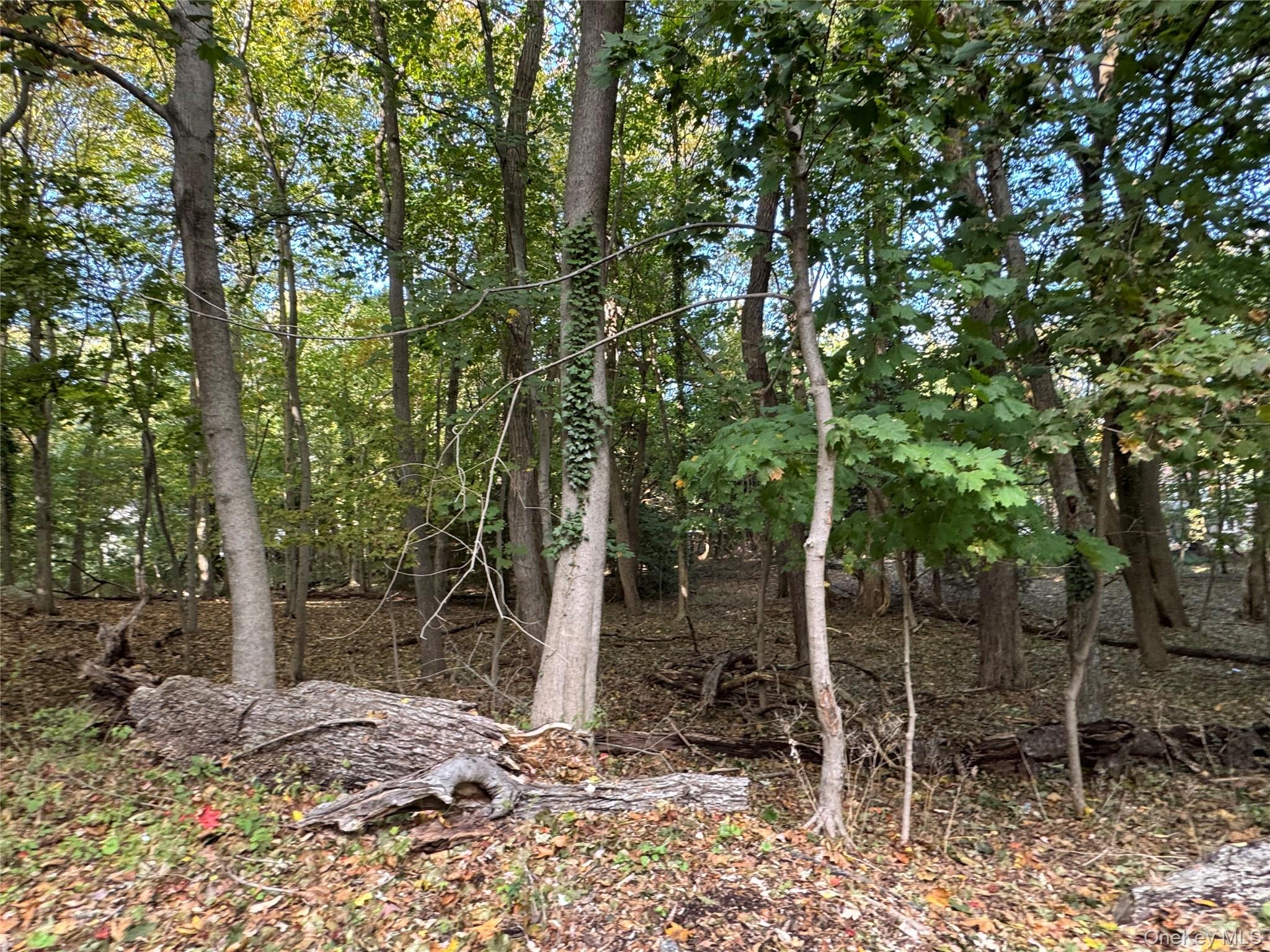 Thompson St/E. Broadway, Port Jefferson Village, NY 11777